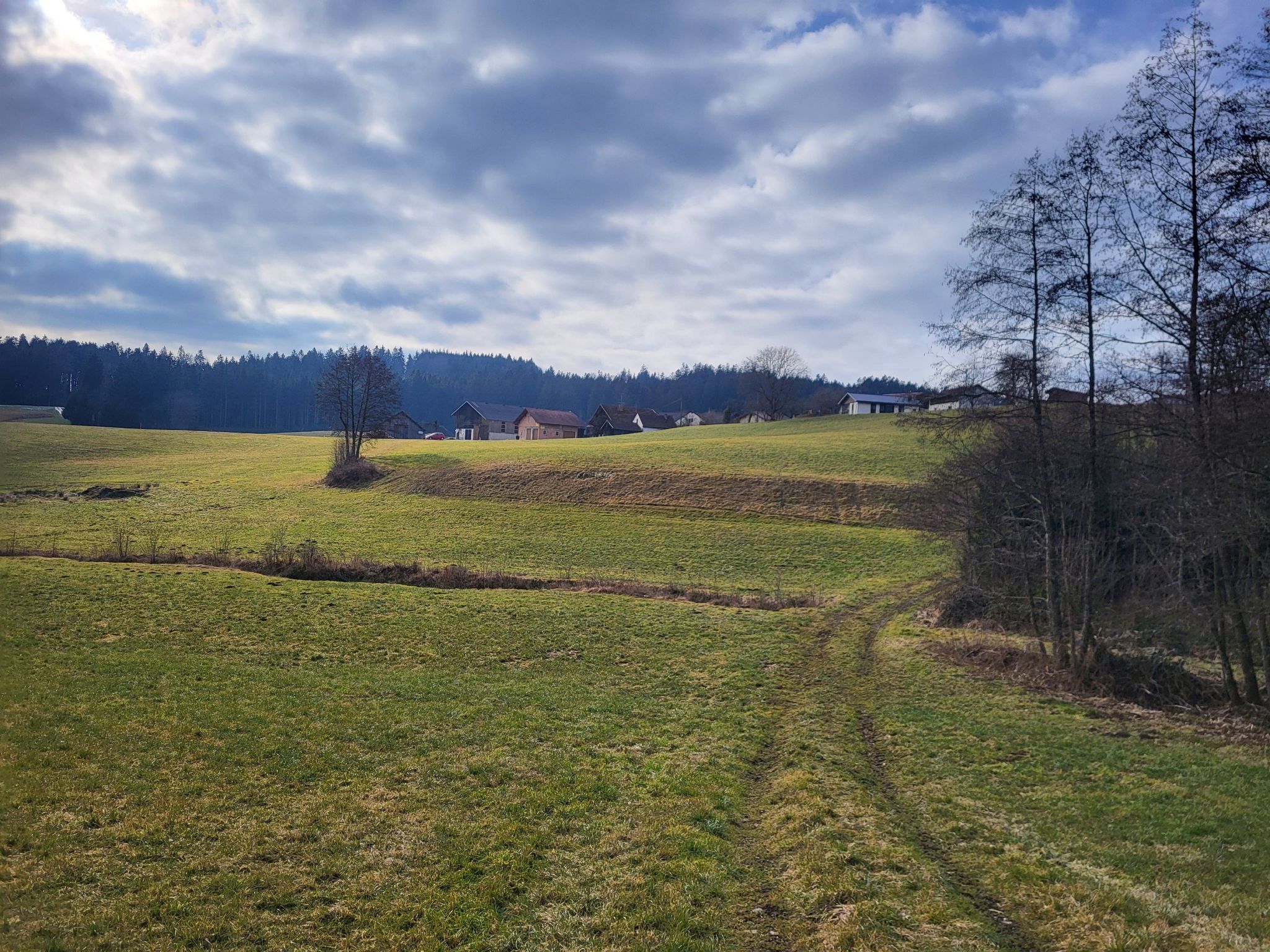 Blick nach Ludham