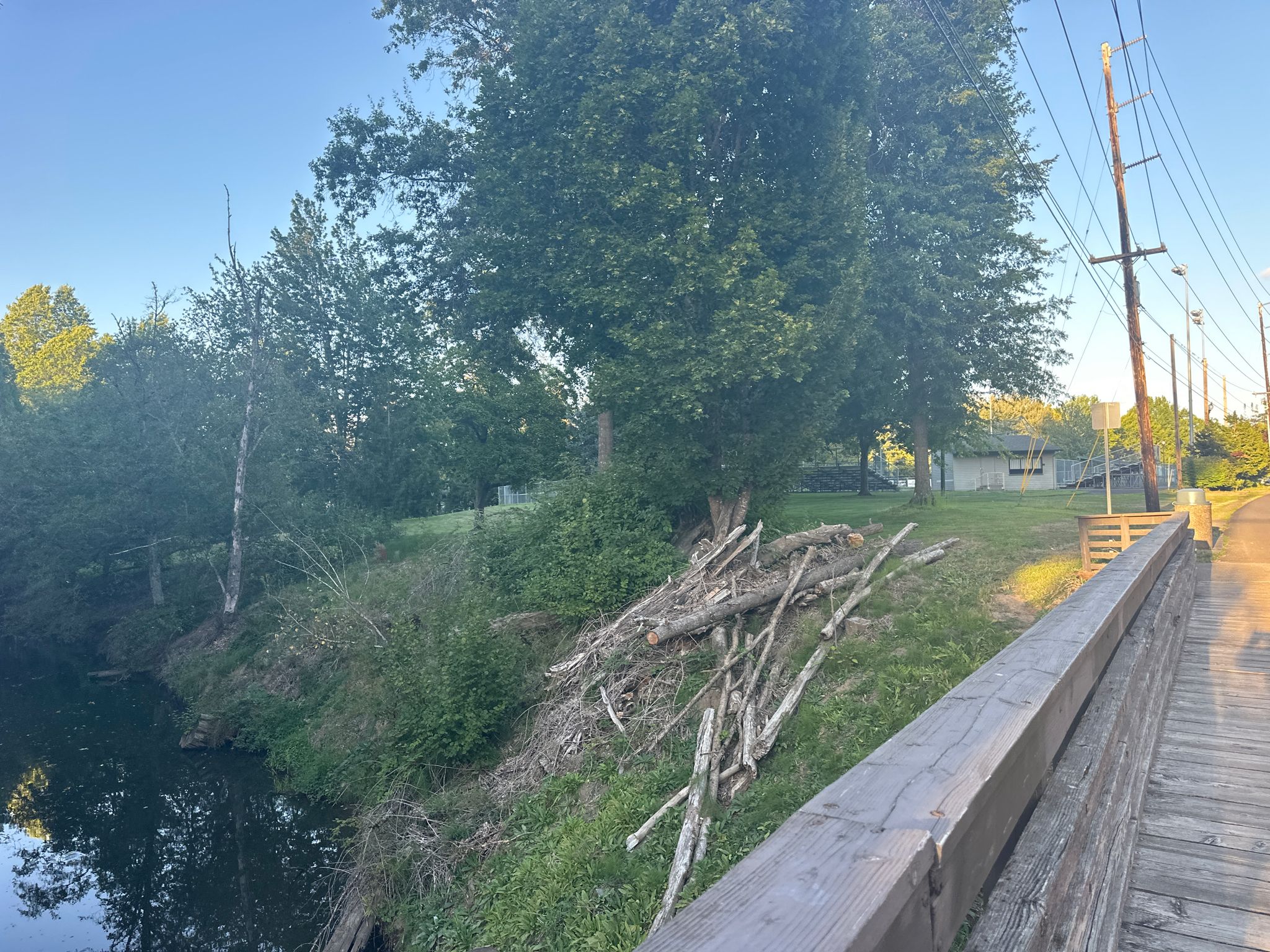 Wooden bridge railing next to a river with green trees and logs. - Springwater and Gresham-Fairview Trail Loop