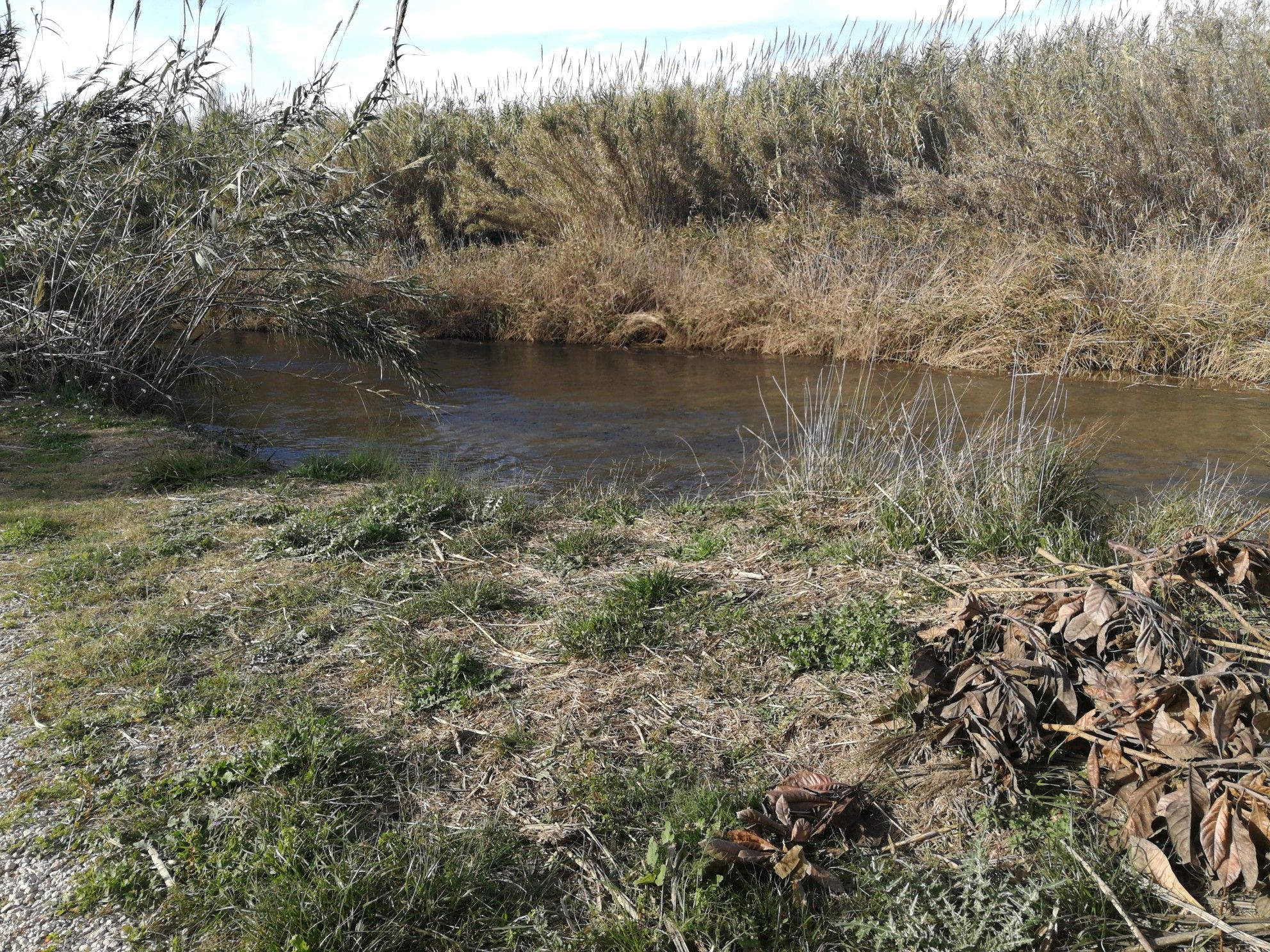 Río Turia 16.12.2018