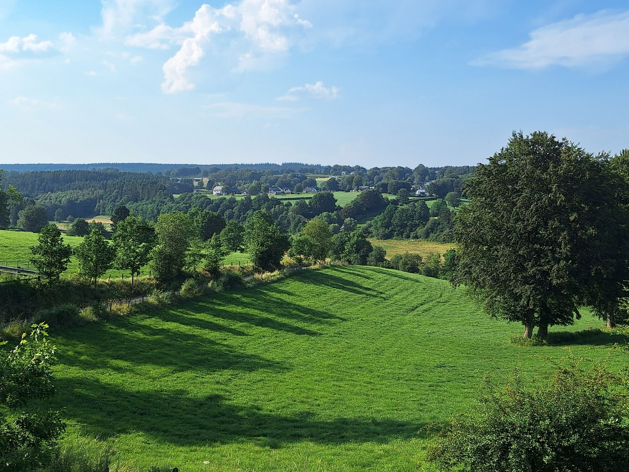 Panorama 