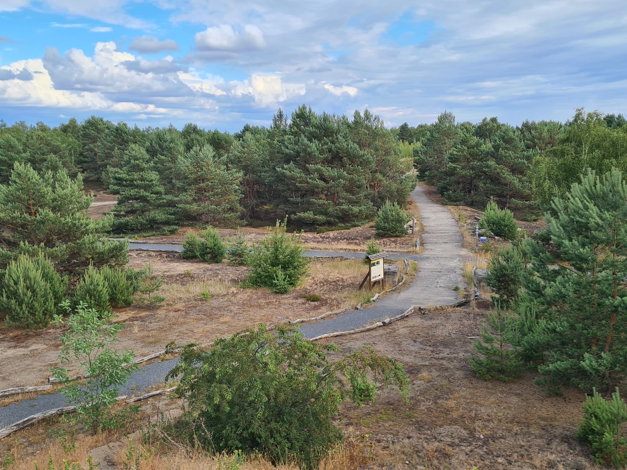 Ausblick Sukzessionspark Lieberose