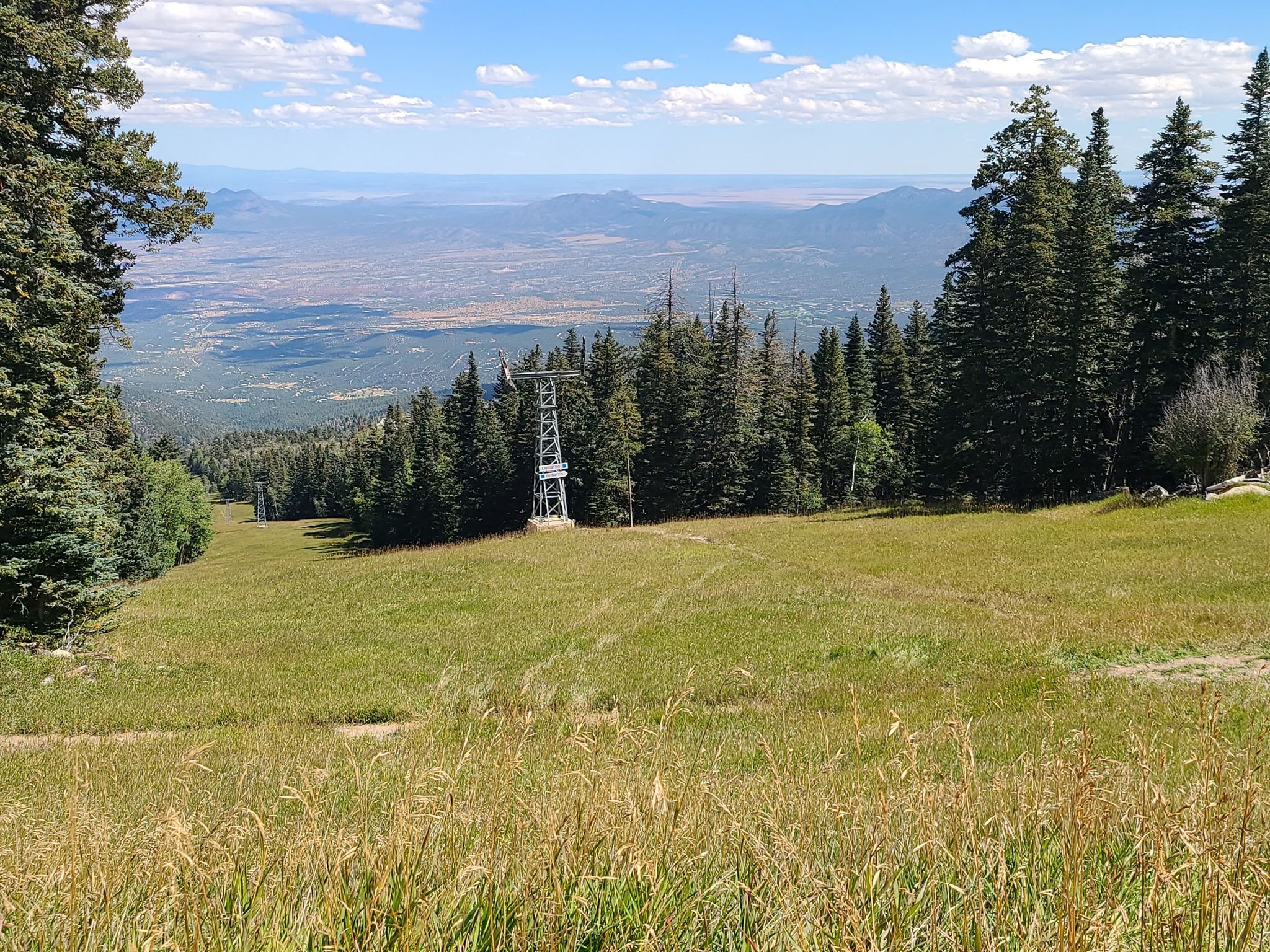 Grassy mountain slope with a ski lift tower and distant valley view. - Sandia Peak Aerial Tramway loop from Capulin Peak