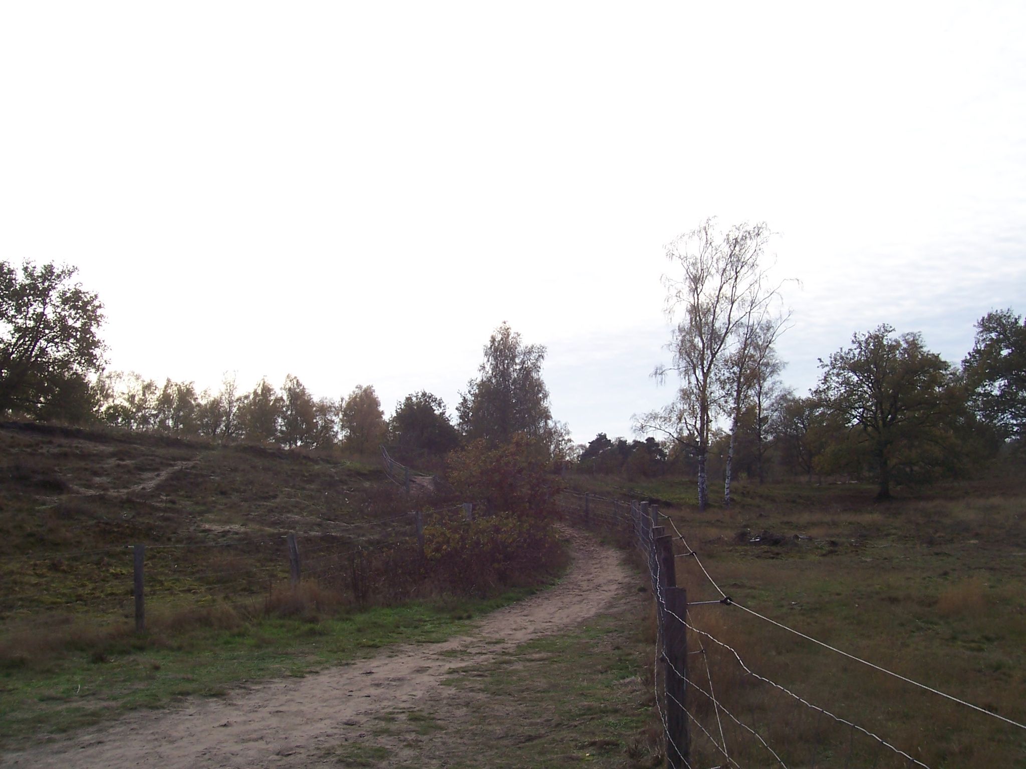 Naturschutzgebiet Tillenberge