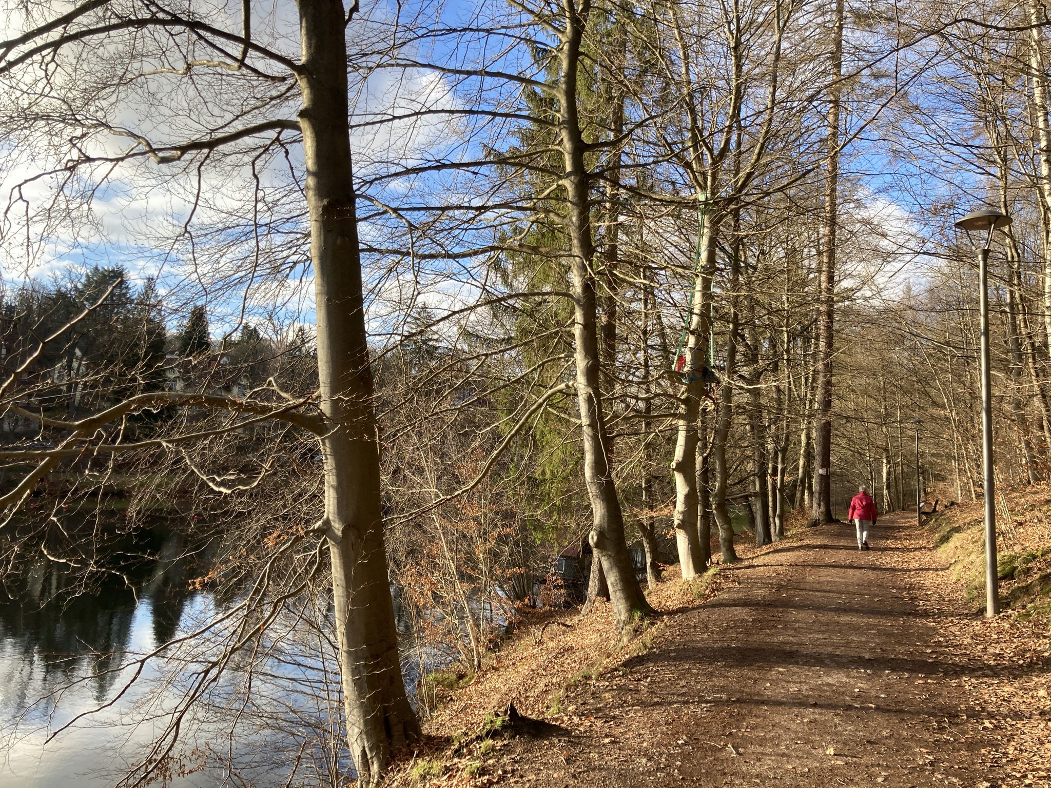 am Schmelzteich