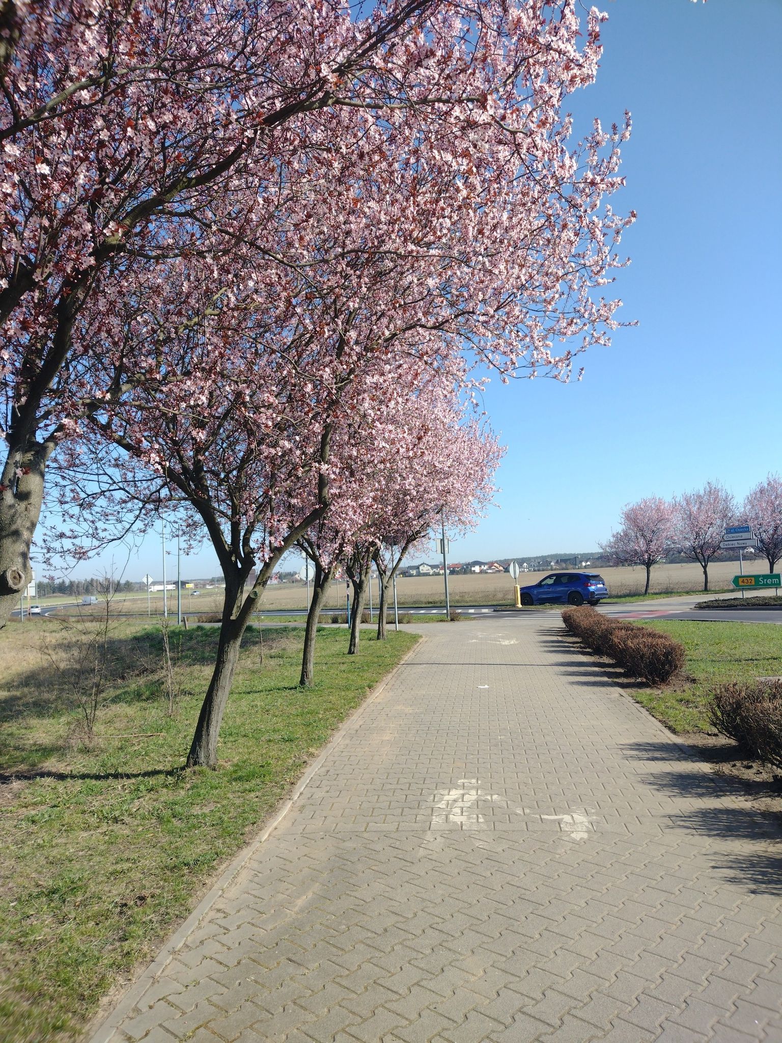 Leszno, ul.Kąkolewska