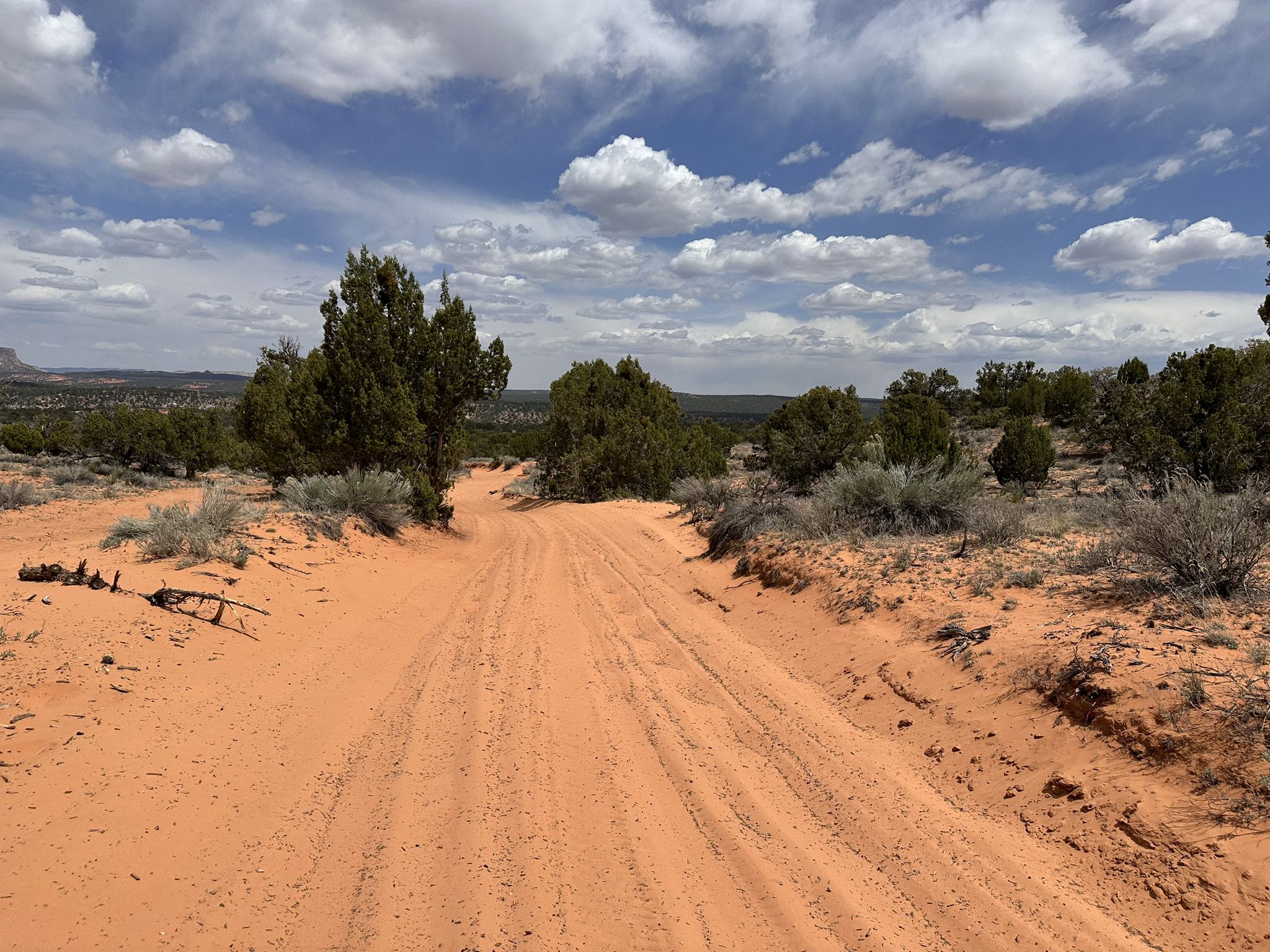 Sandy desert road with tire tracks under a cloudy sky. - Red Canyon (aka Peek-a-Boo Canyon)