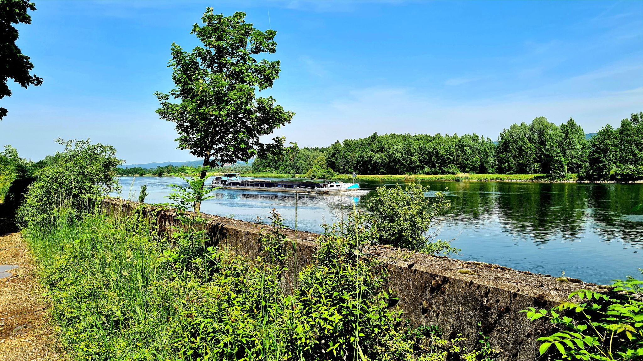 Donau bei Irling > Die Bezirksgrenze läuft hier über die Donau und am anderen Ufer am südlichen Rand der Gmünder Aue Ufer weiter!