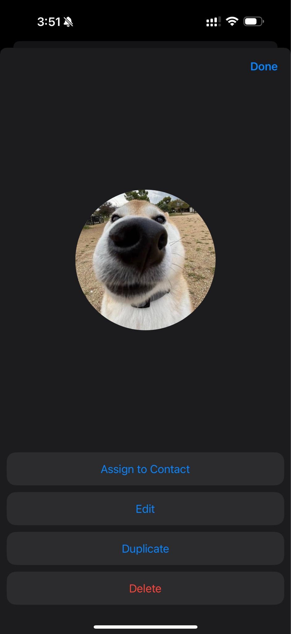 user avatar