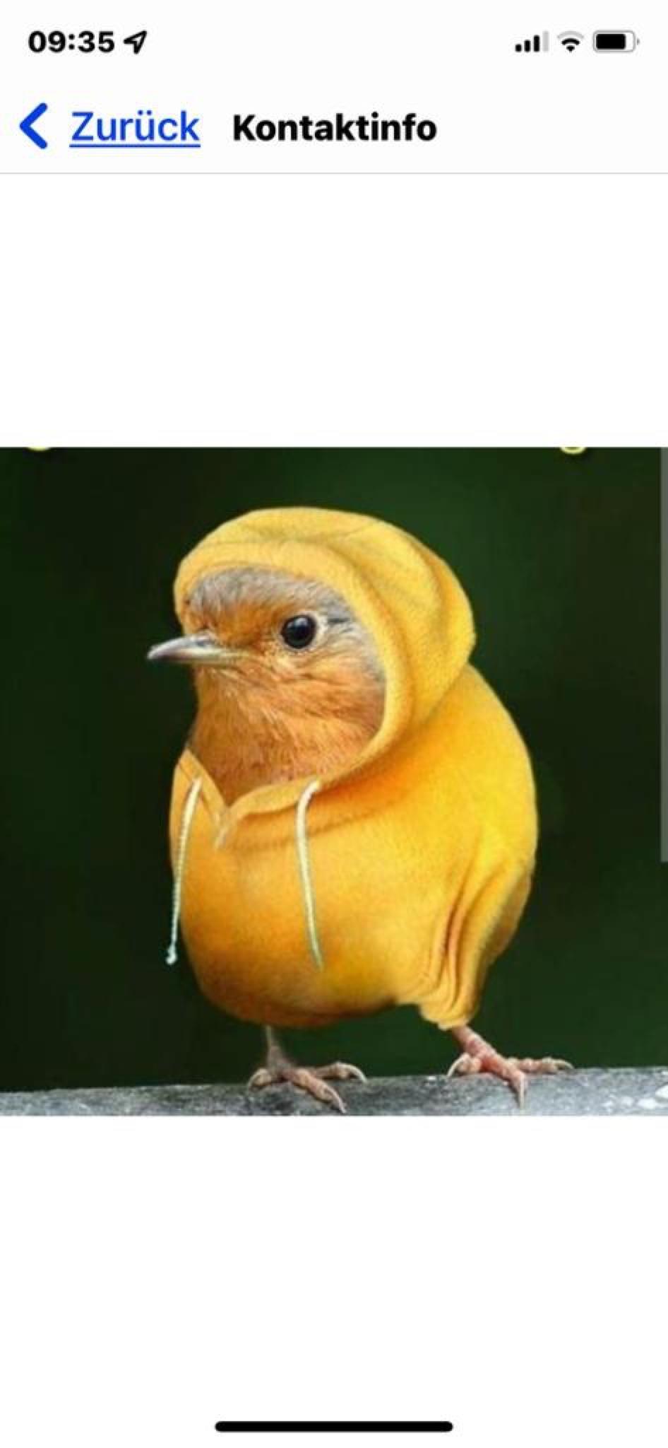 user avatar