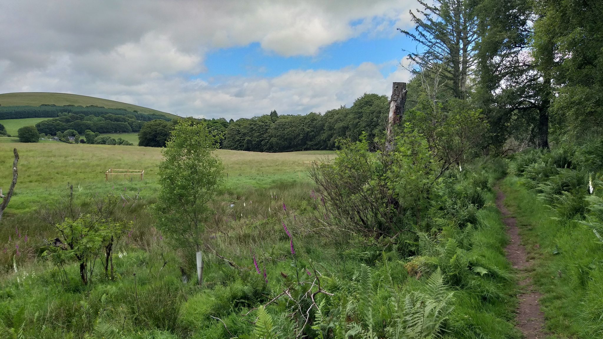 Bamff Estate: Pfad am Biber Areal