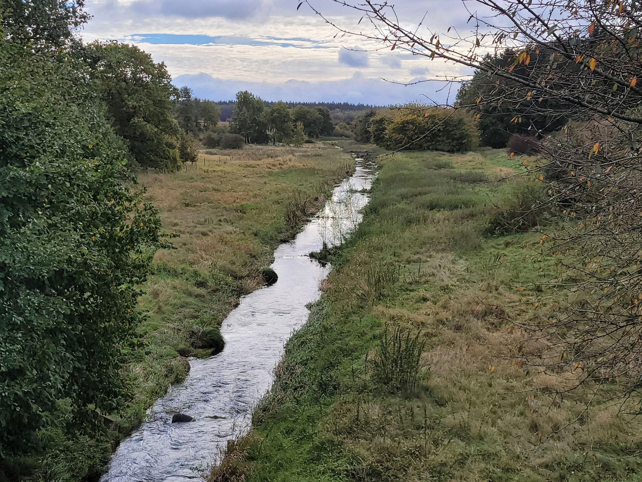 die Ranzau