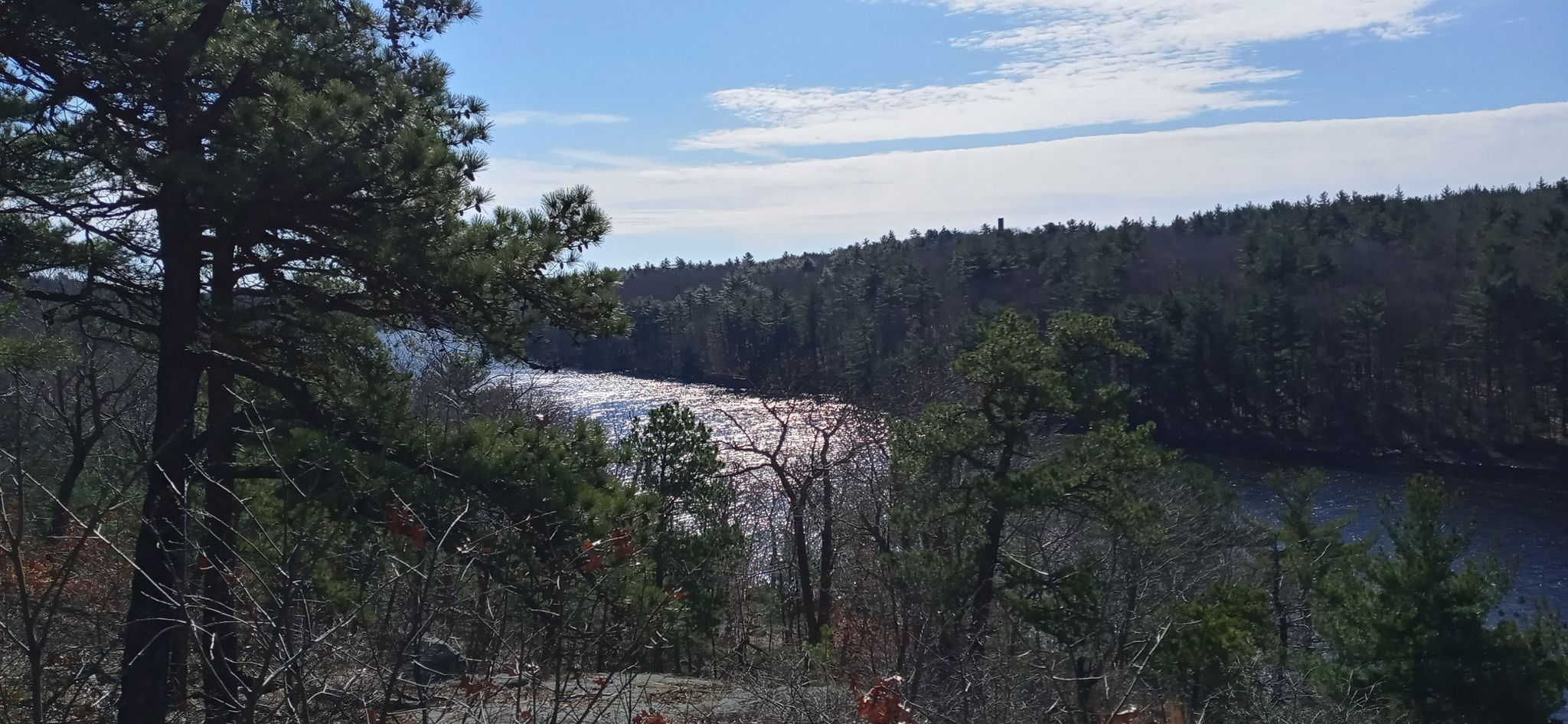 Sunny view of a sparkling river winding through a dense pine forest. - Ox Pasture Road – Walden Pond & Overlook Trail loop from Lynn Woods Reservation