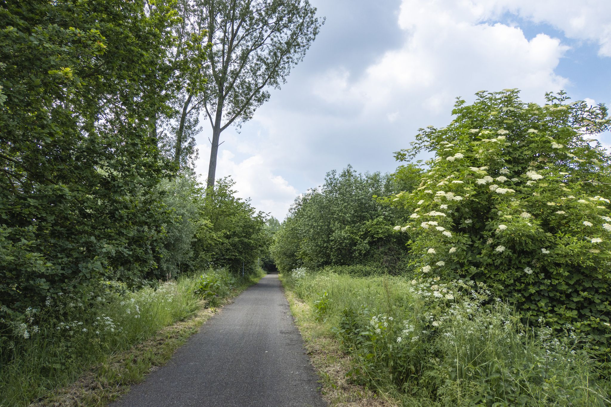 Door het Houtembos richting Sint-Lievens-Houtem
