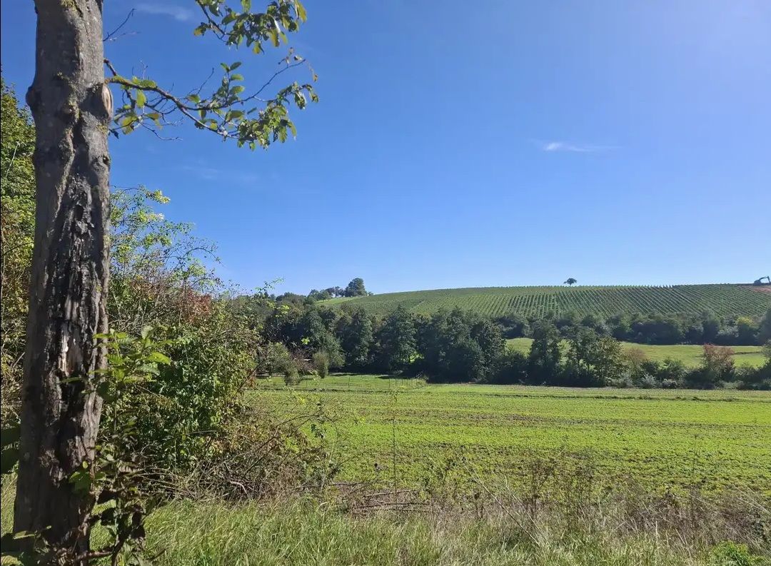 Auf dem Rückweg fahren wir ...
