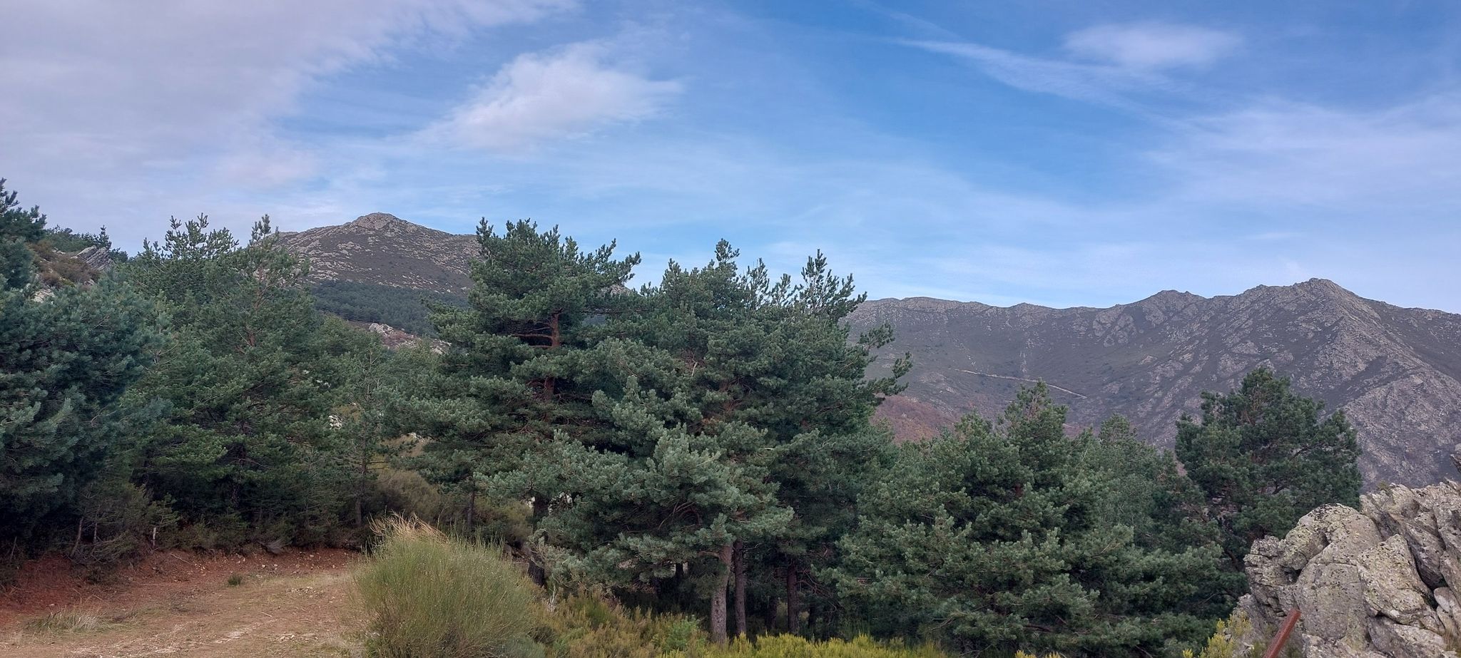 PICO SANTUY
