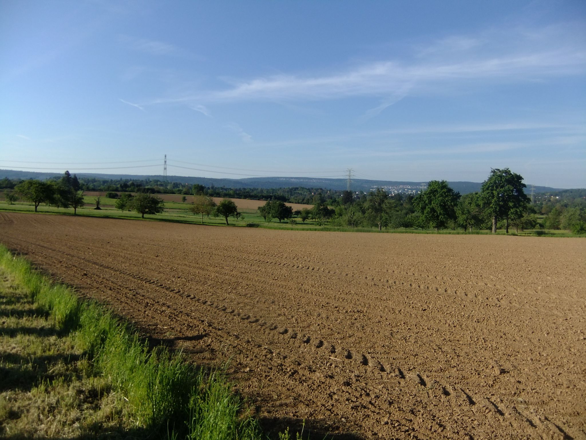 Auf dem Weg nach Ispringen, bei der Eisinger Landstraße
