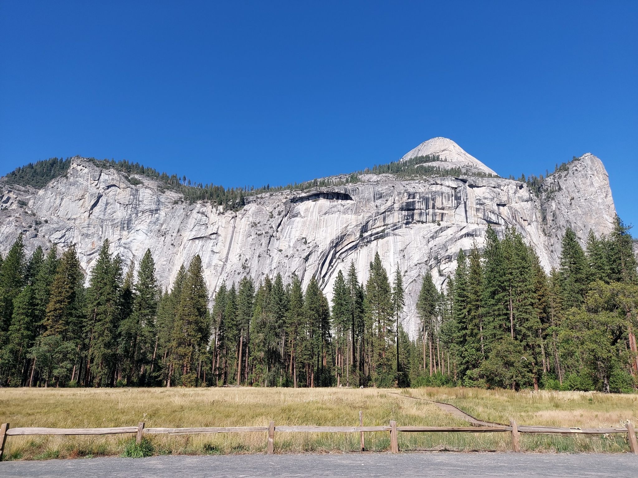 Huge gray rock face rises above a green forest and golden field under blue sky. - Yosemite Valley Loop Trail