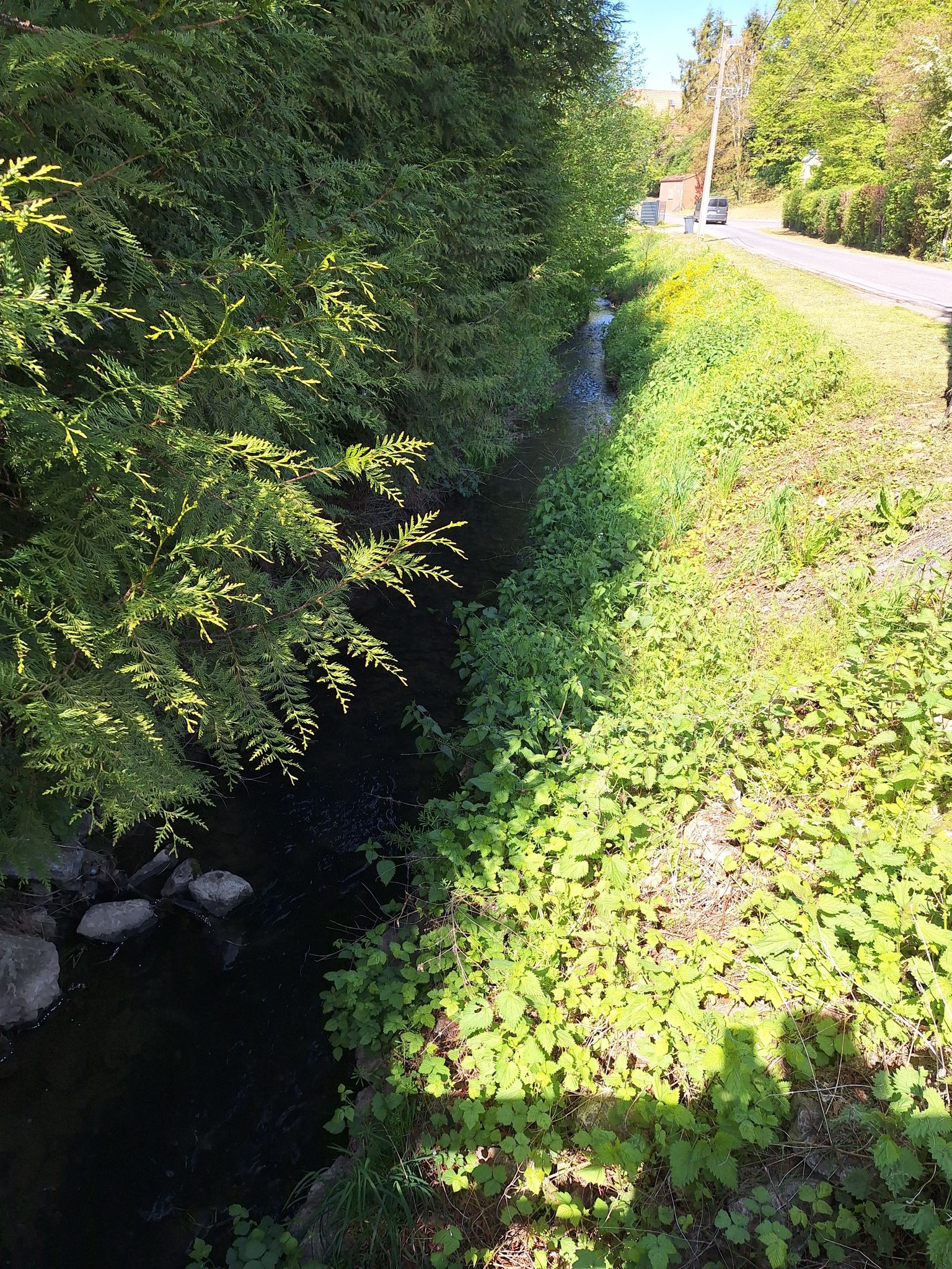 L'Ecaillon