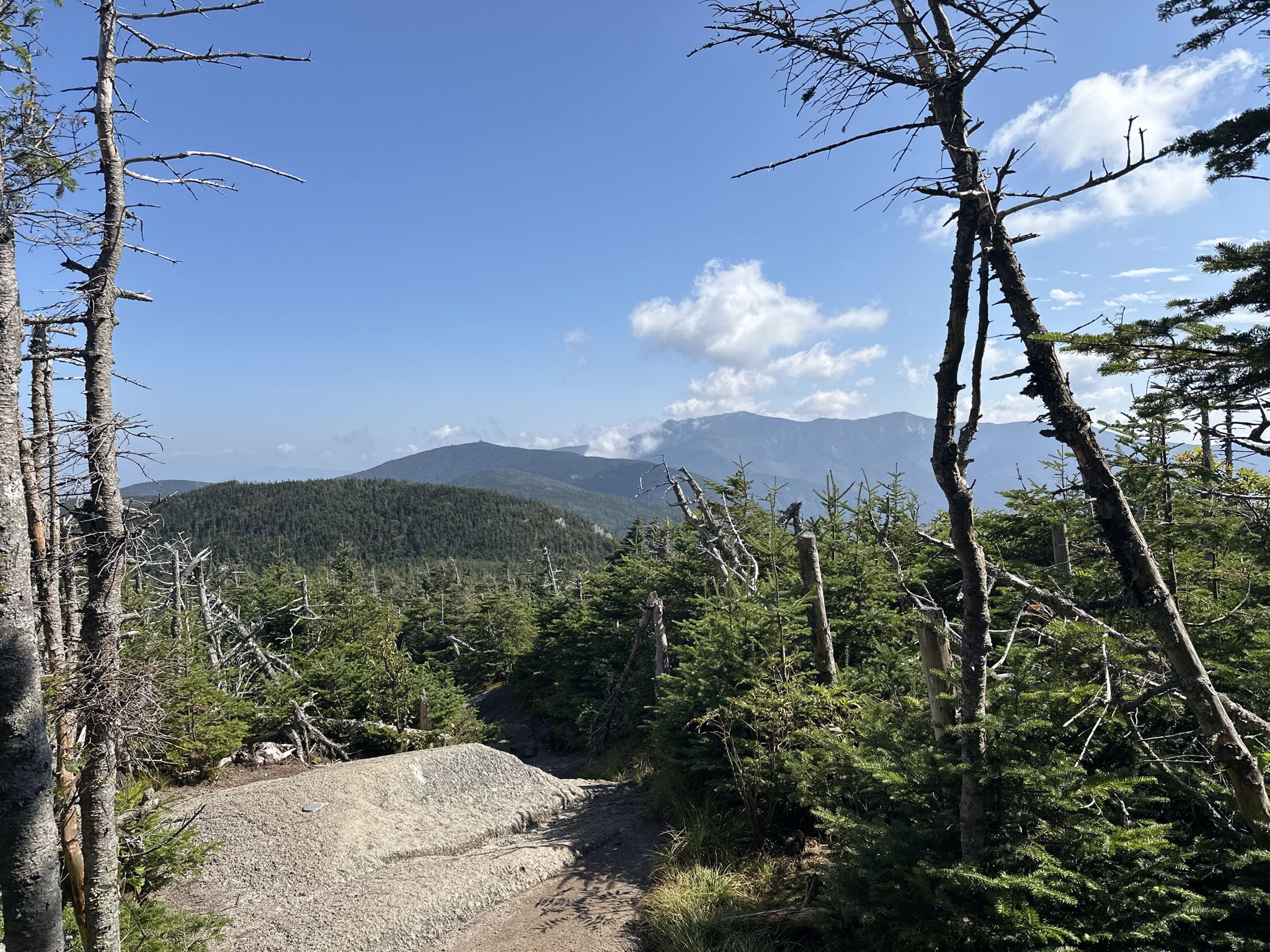 Rocky mountain trail through sparse forest with distant peaks under blue sky. - North Peak – South Peak Kinsman Mountain loop from Ham Branch