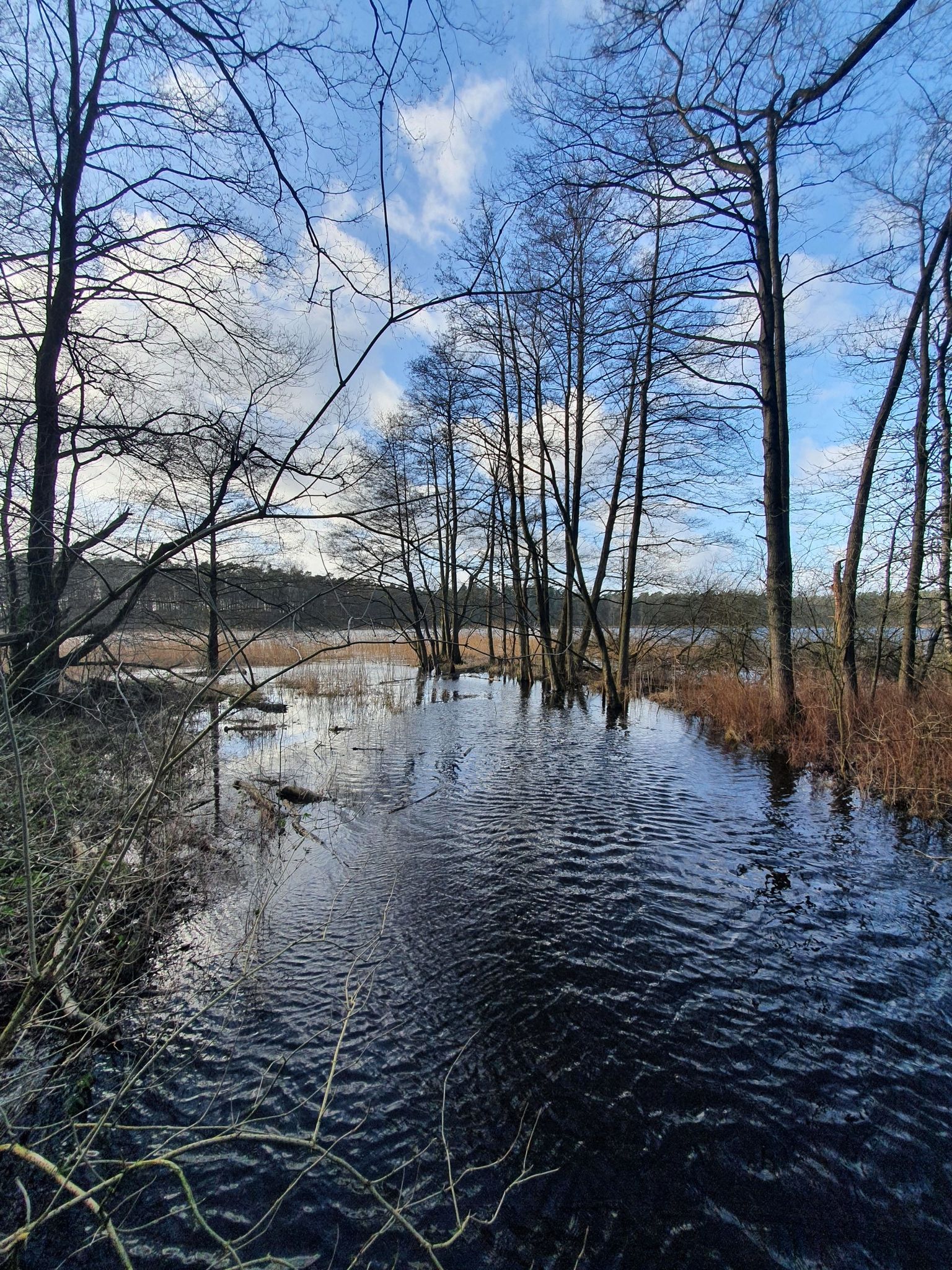 Hochwasser am Sarnekower See