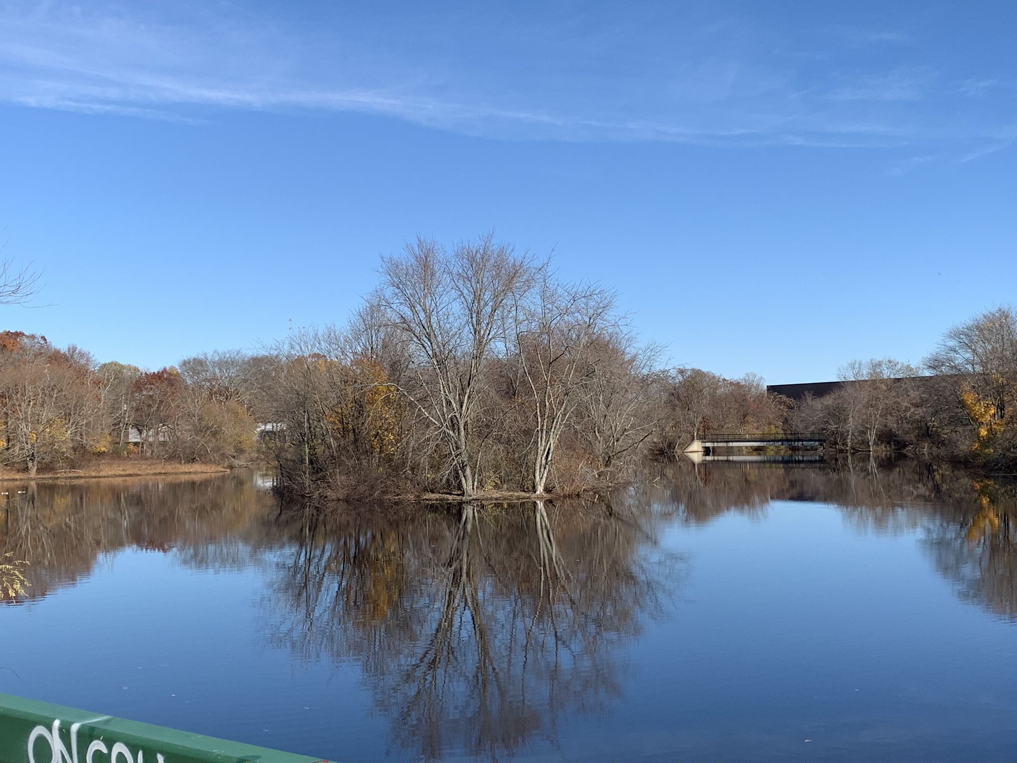 Bare trees on an island reflected in a calm lake under a clear blue sky. - Blue Hills Reservation loop – road cycling in MA