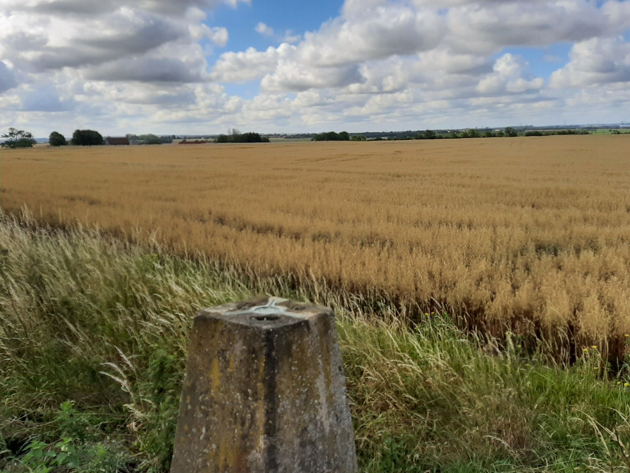 trig point