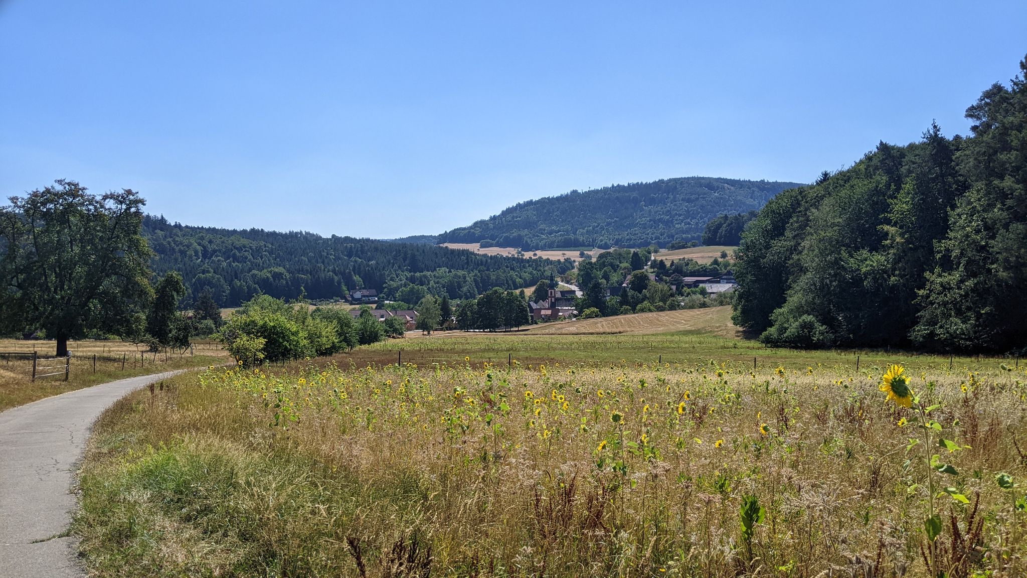 Noch ein Blick über Moosbronn
