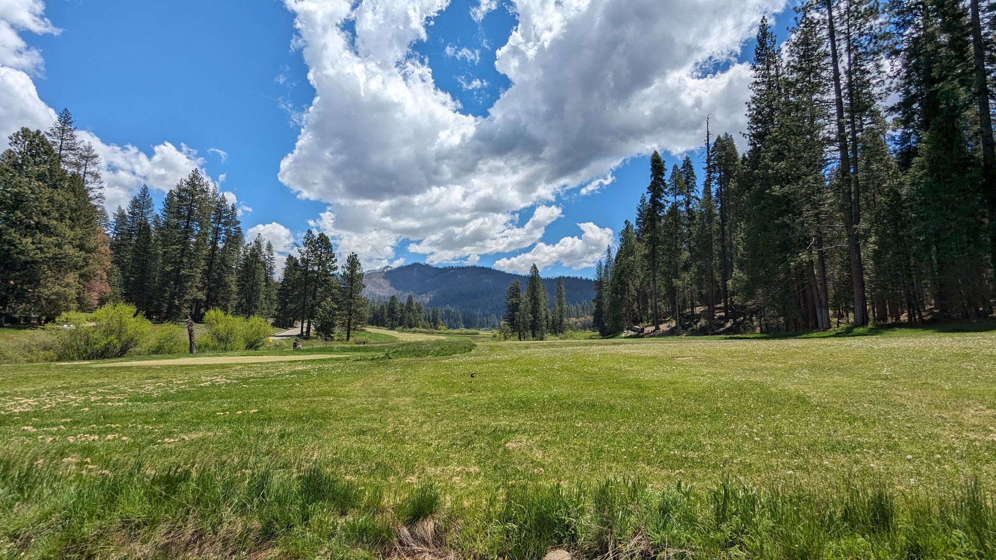 Wide green field bordered by pine trees, mountains under a cloudy blue sky. - Wawona Meadow Loop Trail