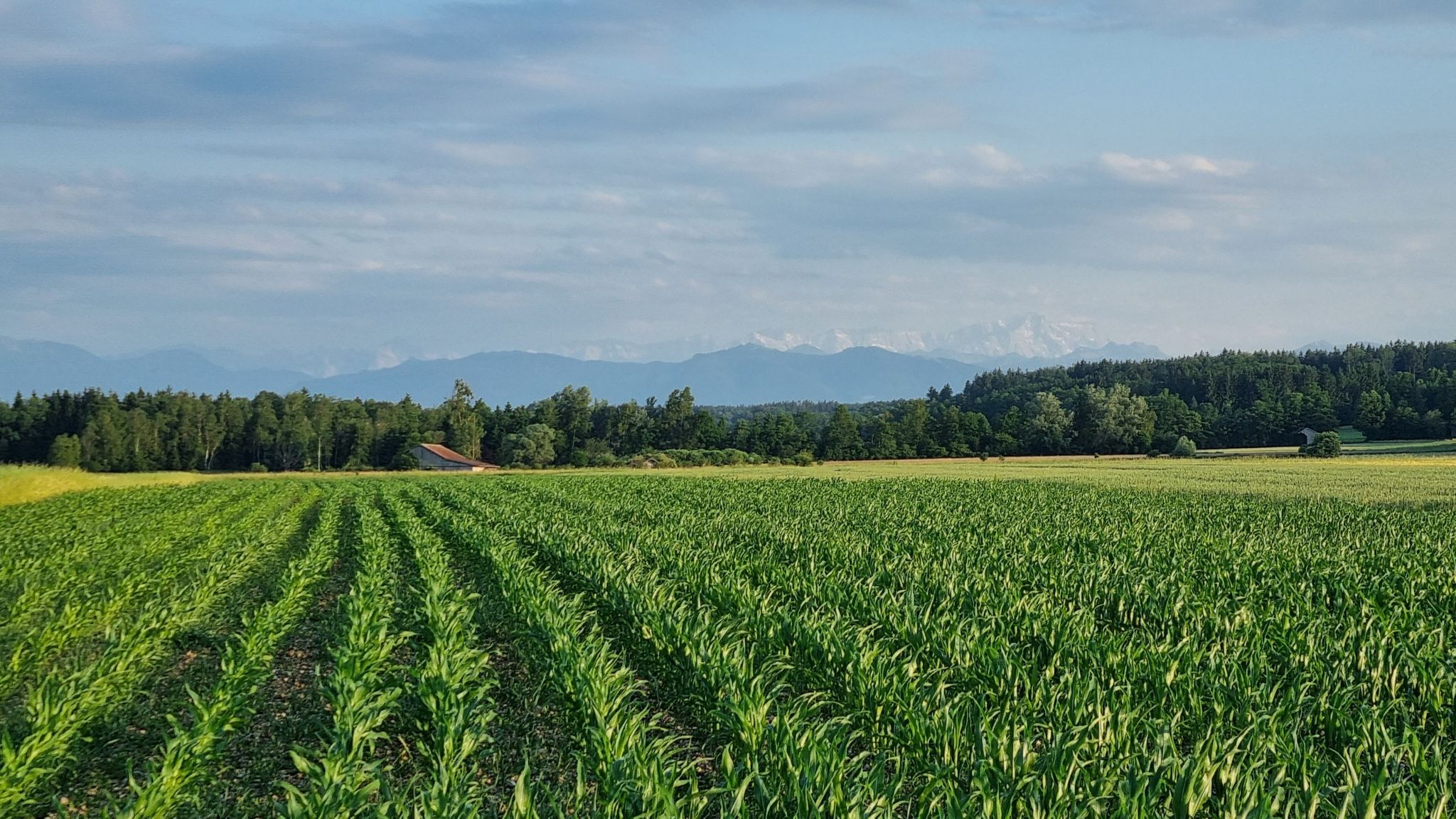 mit Alpenblick...