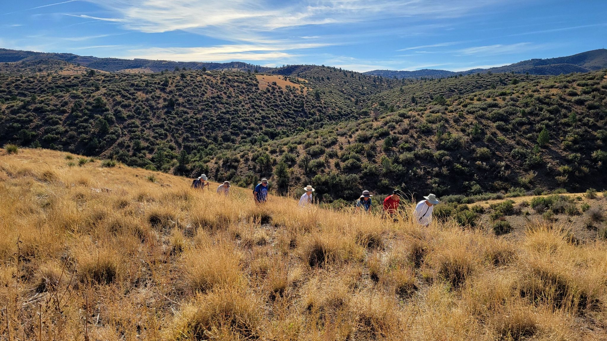 Group of hikers walking through golden grassy hills under a blue sky. - Sundog Trail Loop