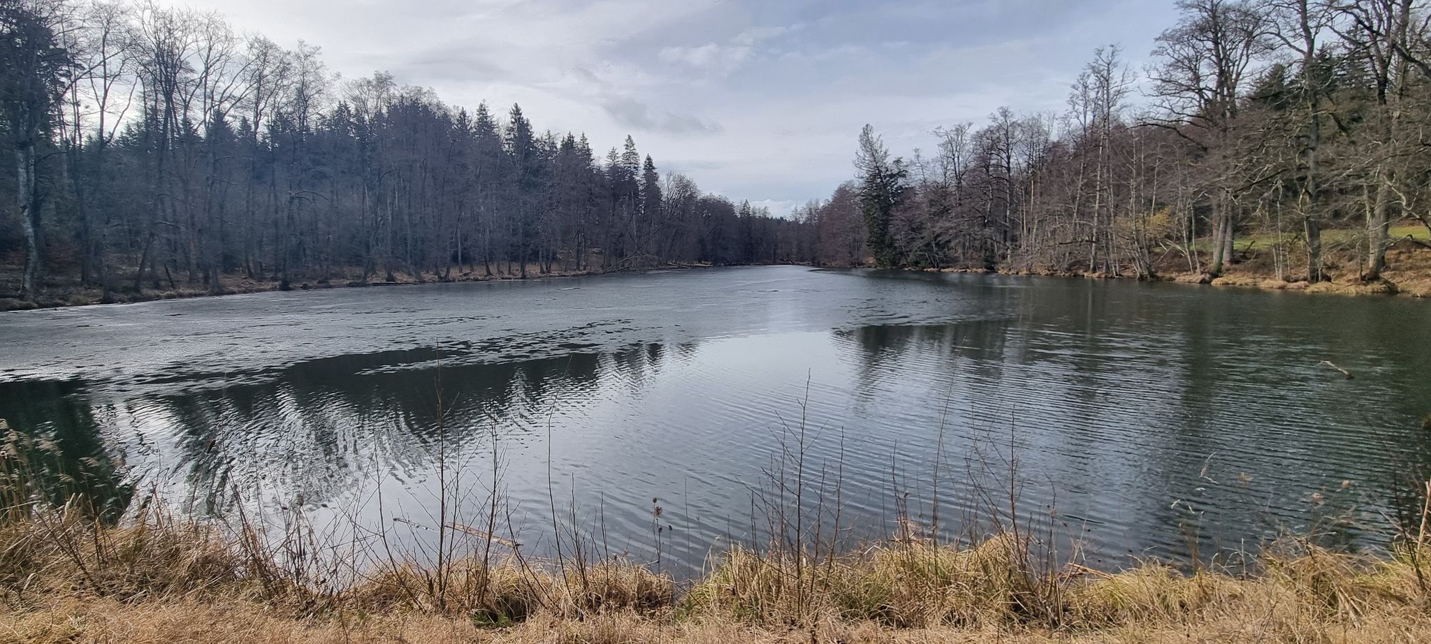 Reichenbachweiher