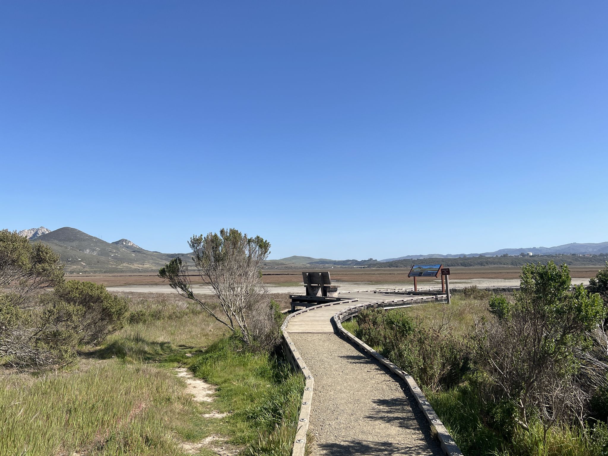 Winding boardwalk through marshland with distant mountains, under a clear sky. - El Moro Elfin Forest Preserve – El Moro Elfin Forest Preserve loop from Morro Bay State Park