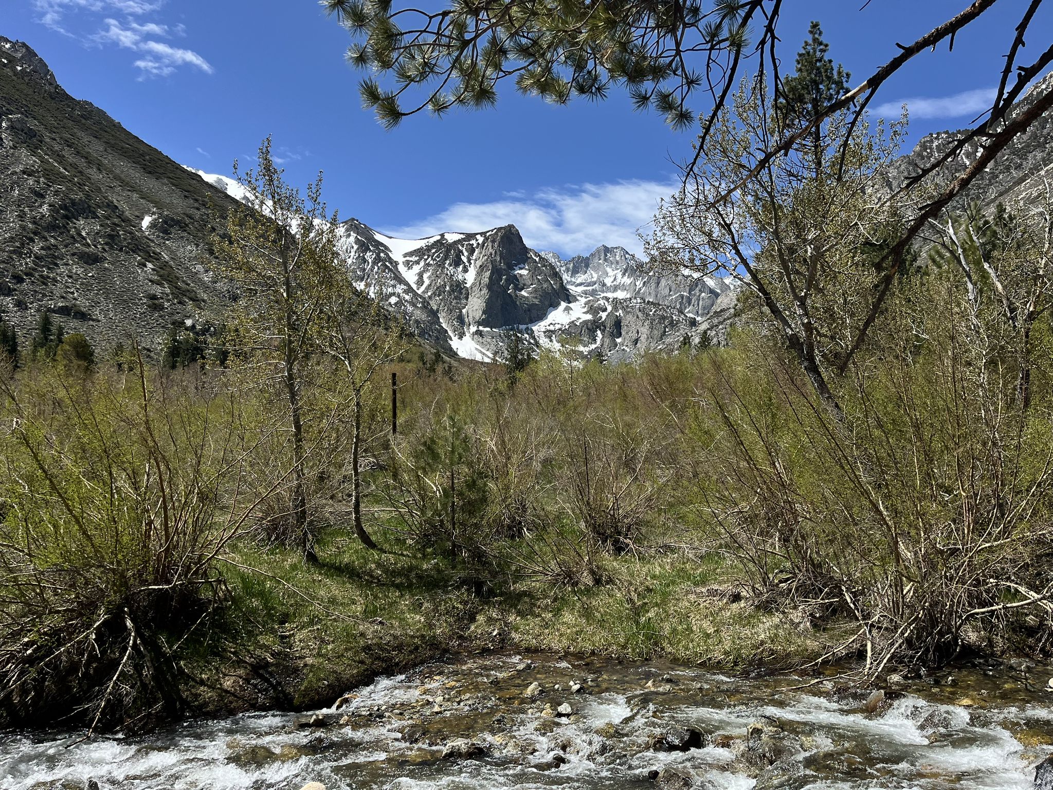 Rushing river with green bushes, framed by snowy mountains under blue sky. - Big Pine Creek Campground and Glacier Lodge Loop Trail