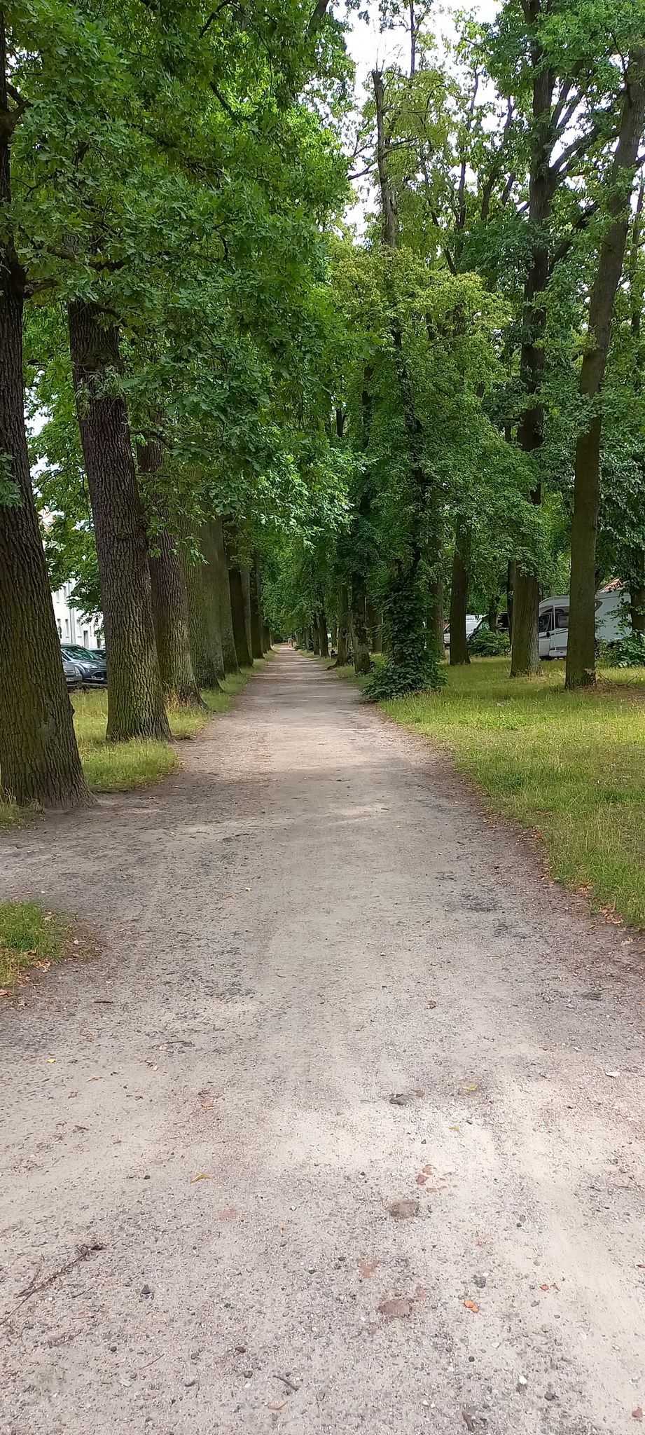 gemütlicher Weg