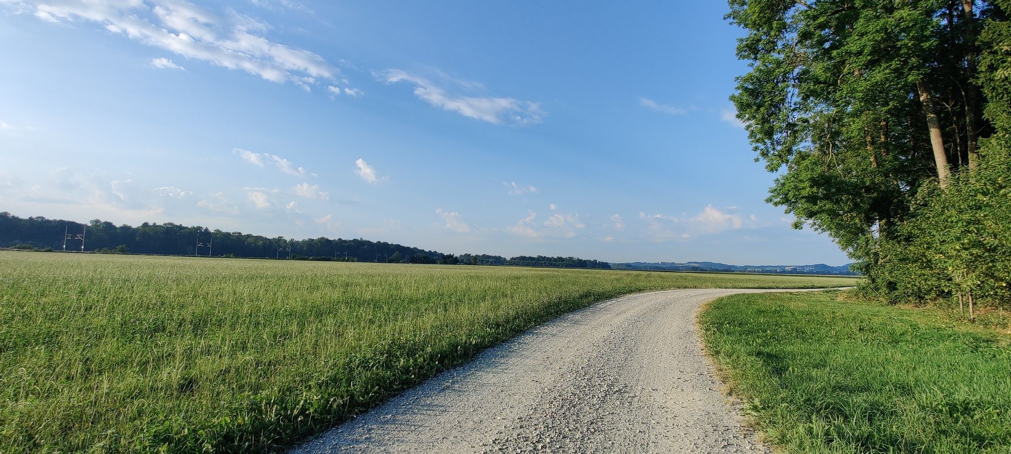 Blick Richtung Berg