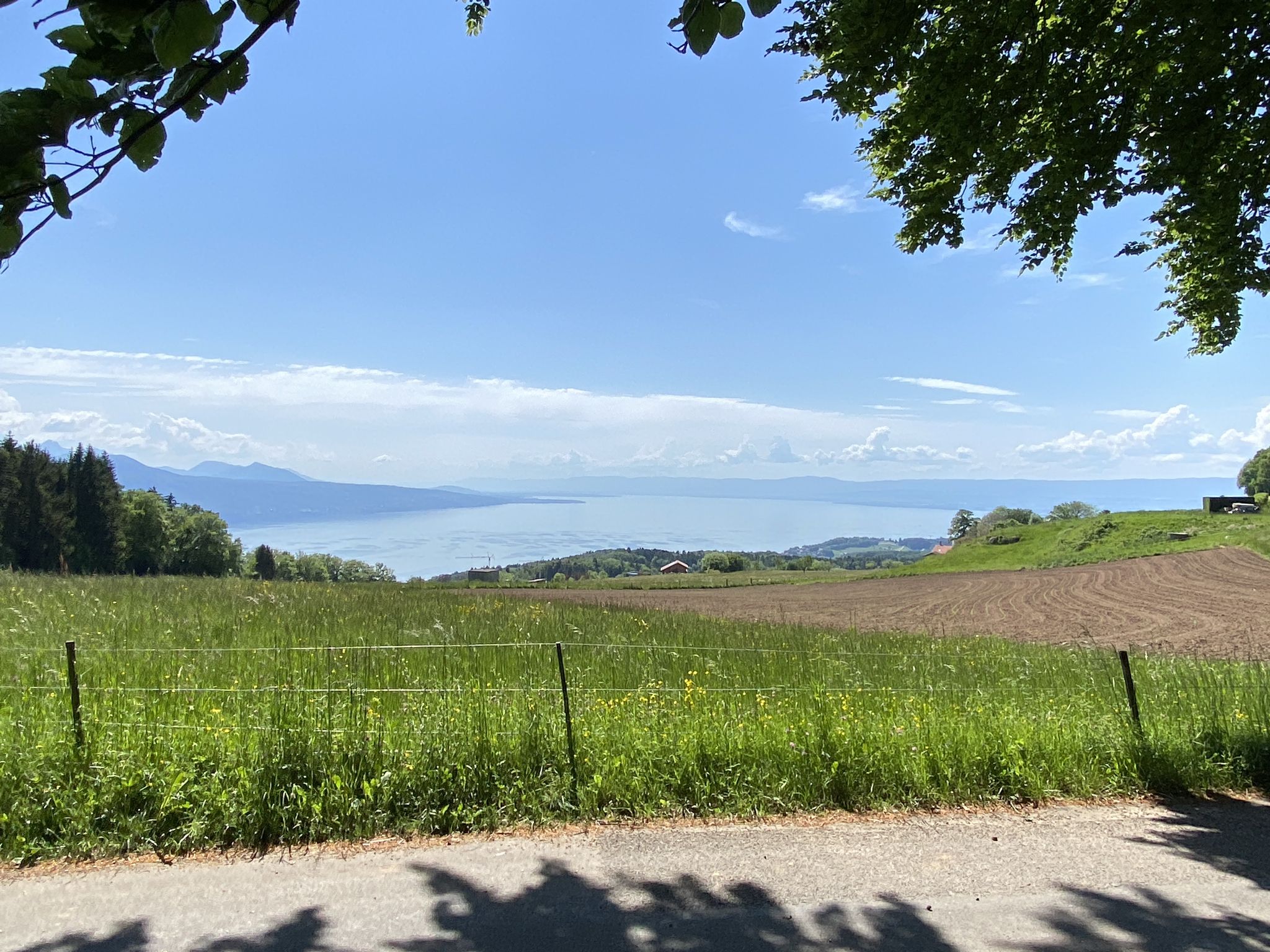 Blick zum Genfersee
