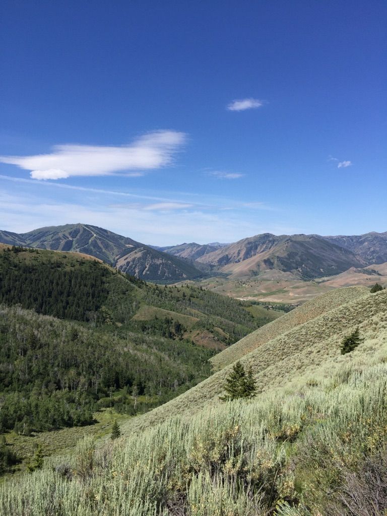 Expansive view of green, forested mountains and valleys under a bright blue sky. - Proctor Mountain Loop