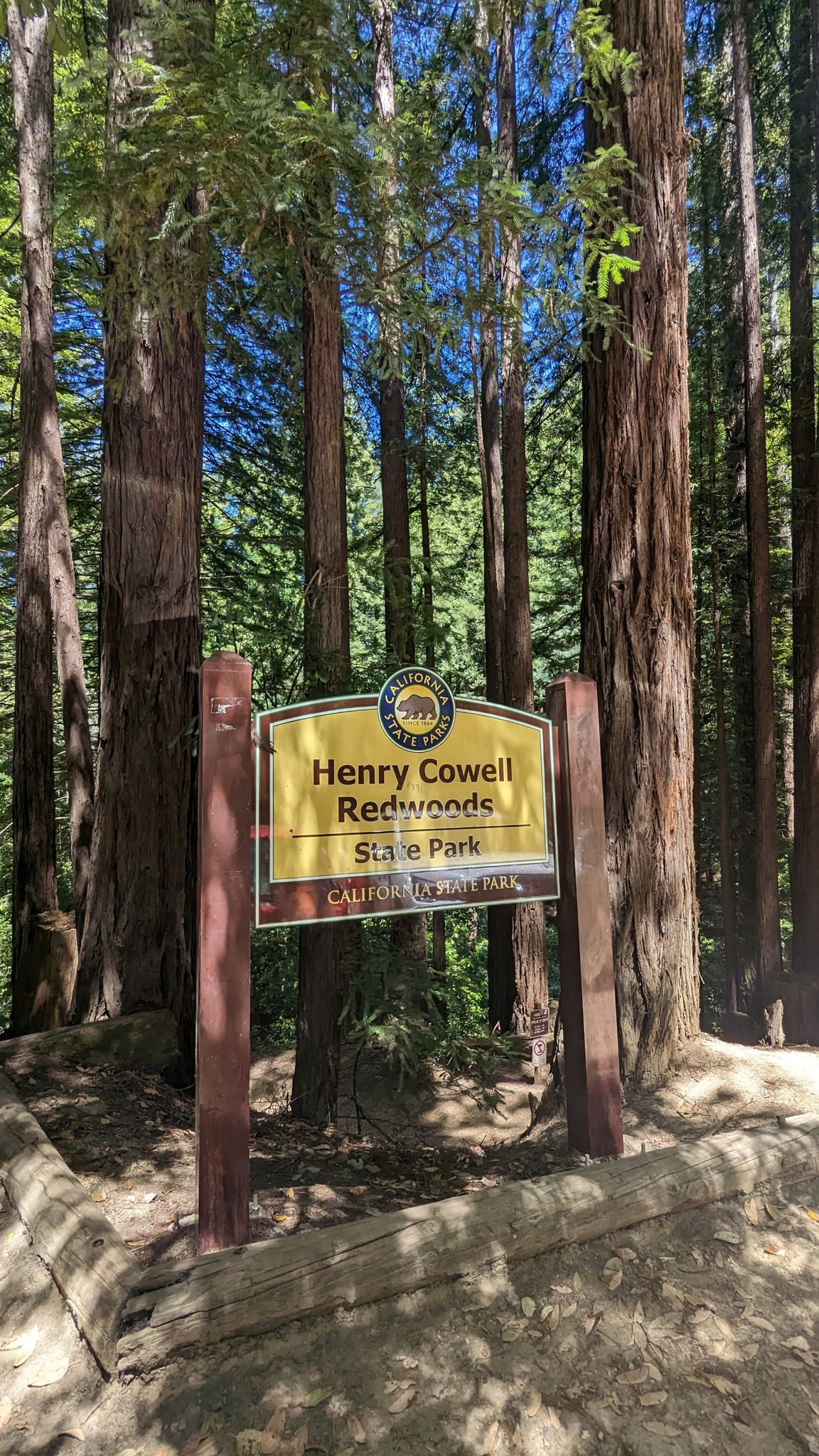 A yellow sign on wooden posts stands among tall, sunlit trees. - Felix the Cat, Chinquapin, Pipe Dream and Magic Carpet Loop