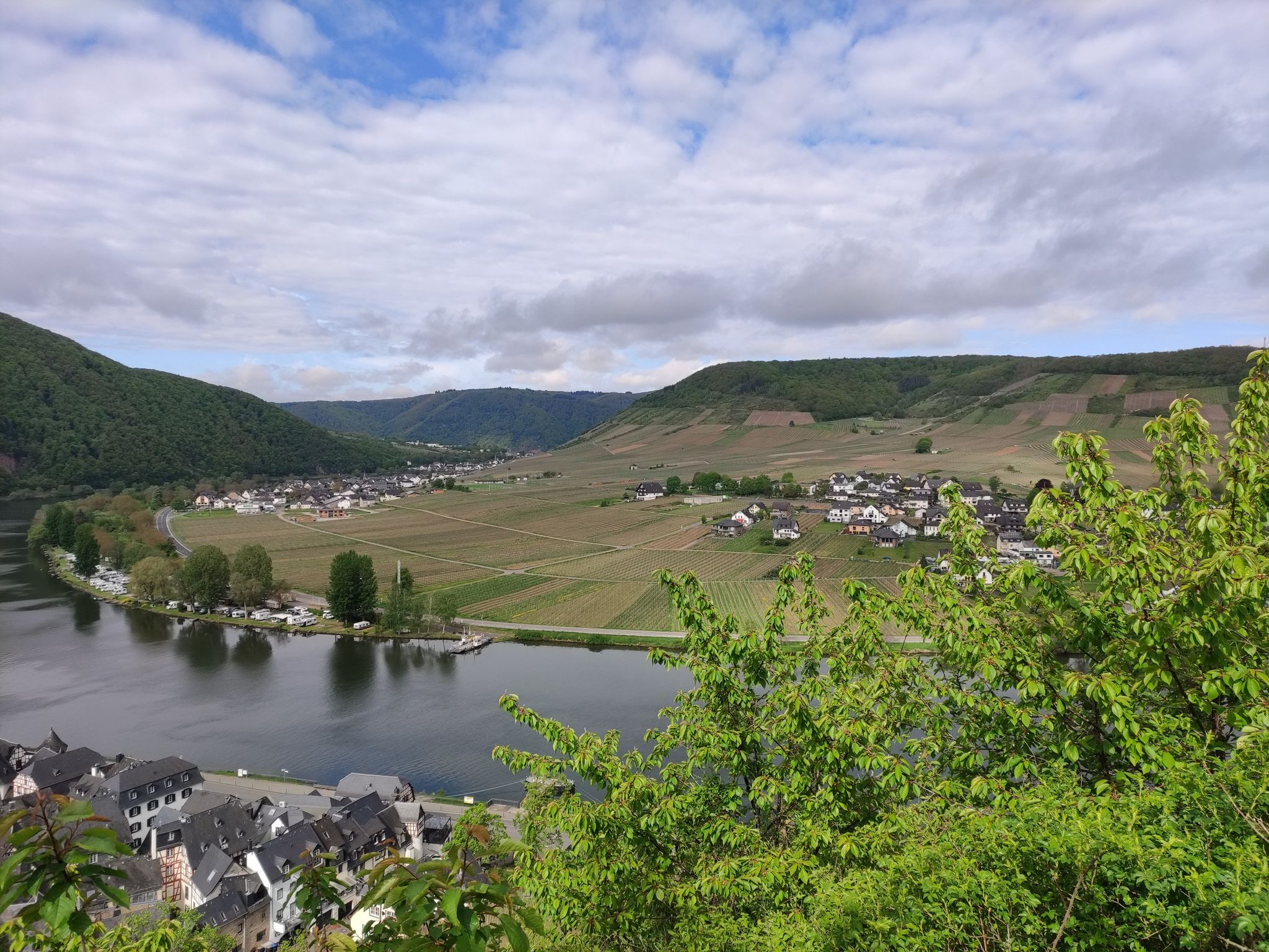 Fähre Beilstein