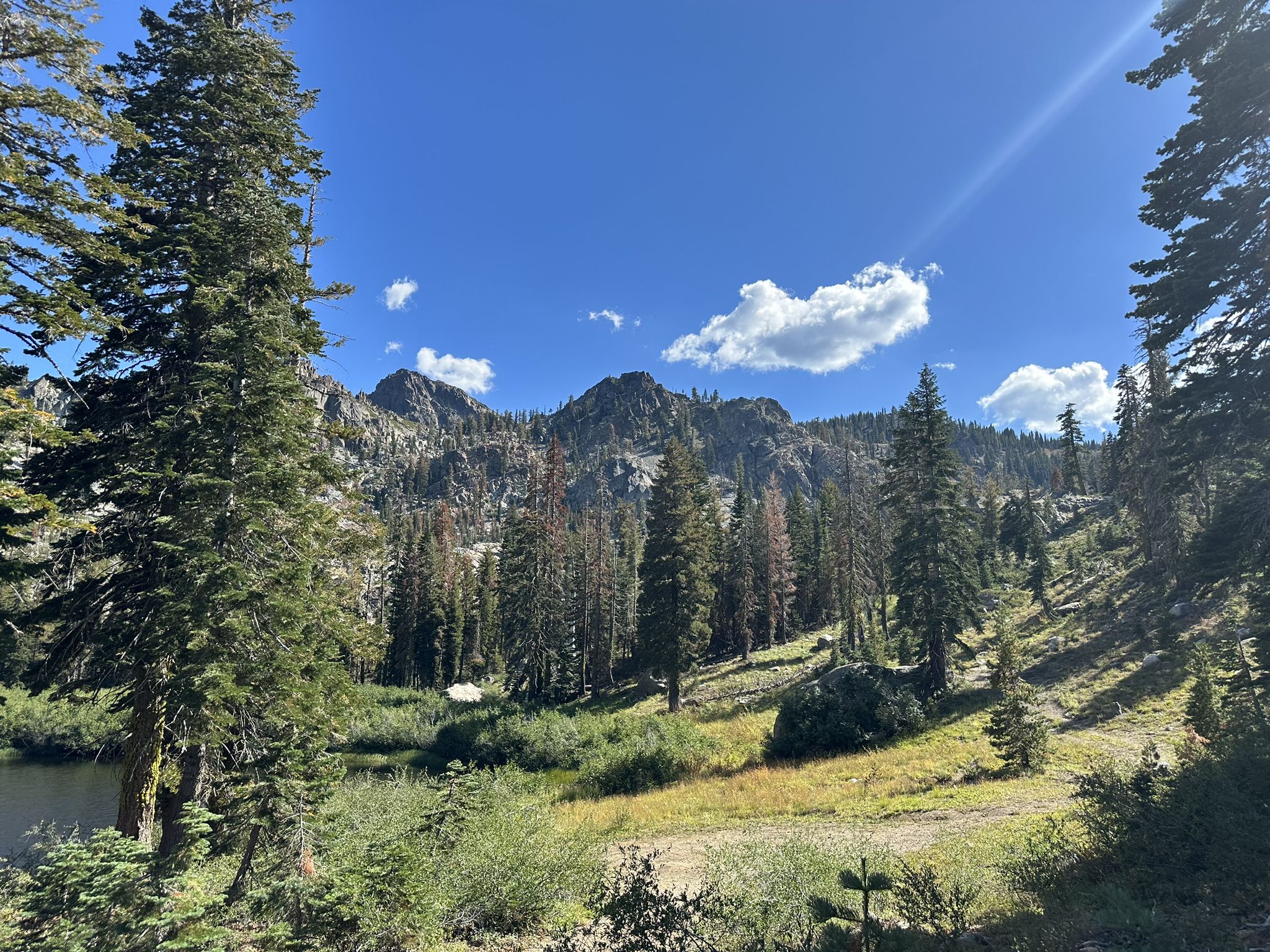Sunny forest clearing with distant rocky mountains under blue sky. - Pacific Crest Trail to Tamarack Lakes loop