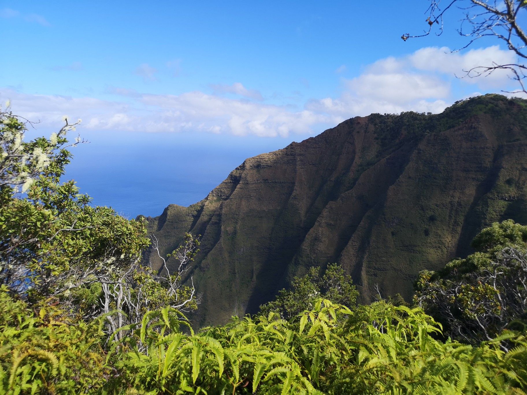 Steep green cliffs overlook a blue ocean under a bright sky. - Honopu Ridge Trail
