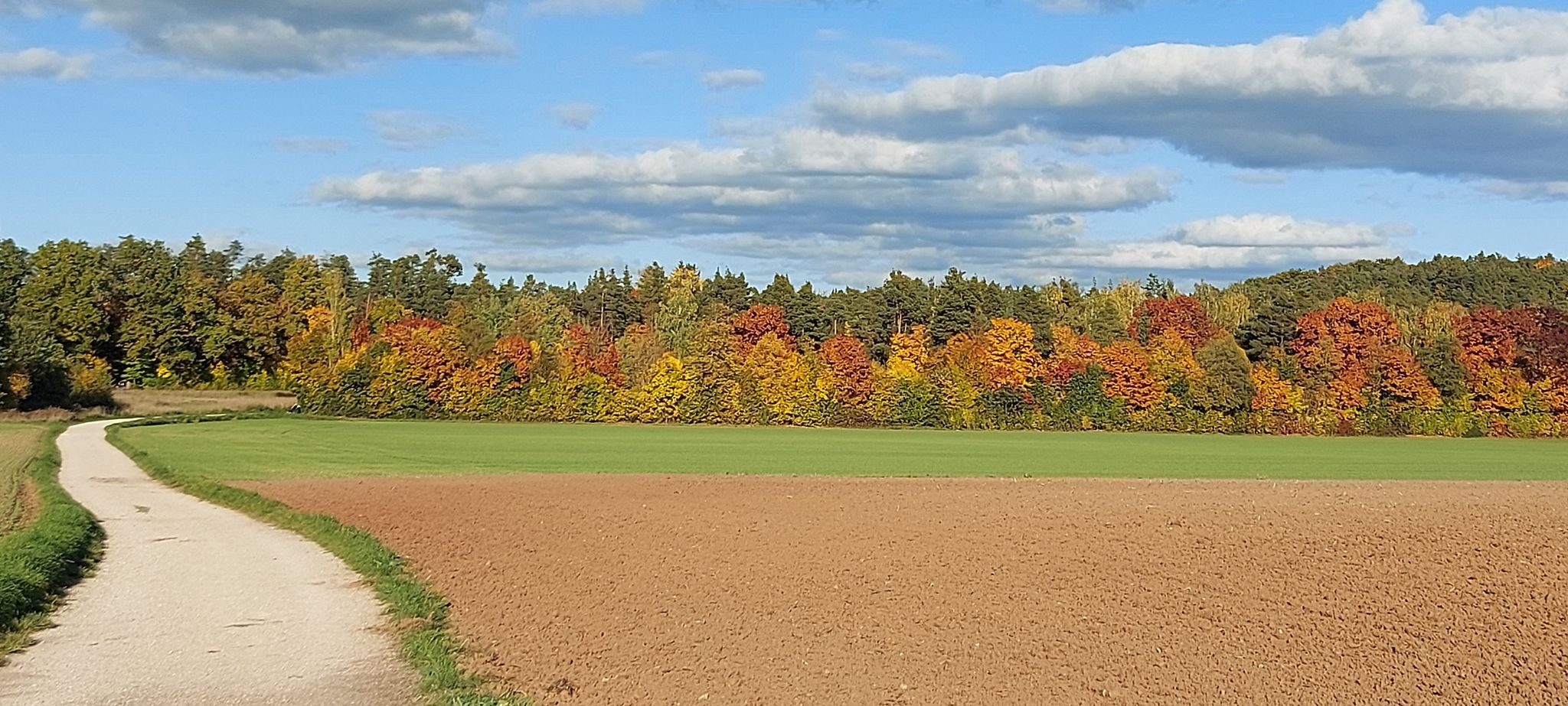 Der Herbst von seiner schönsten Seite