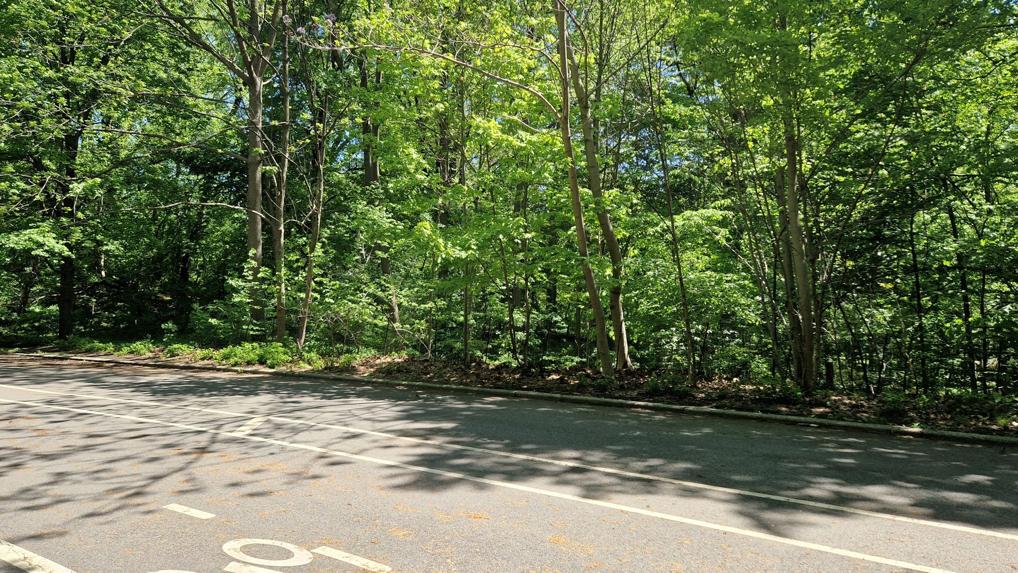 prospect park