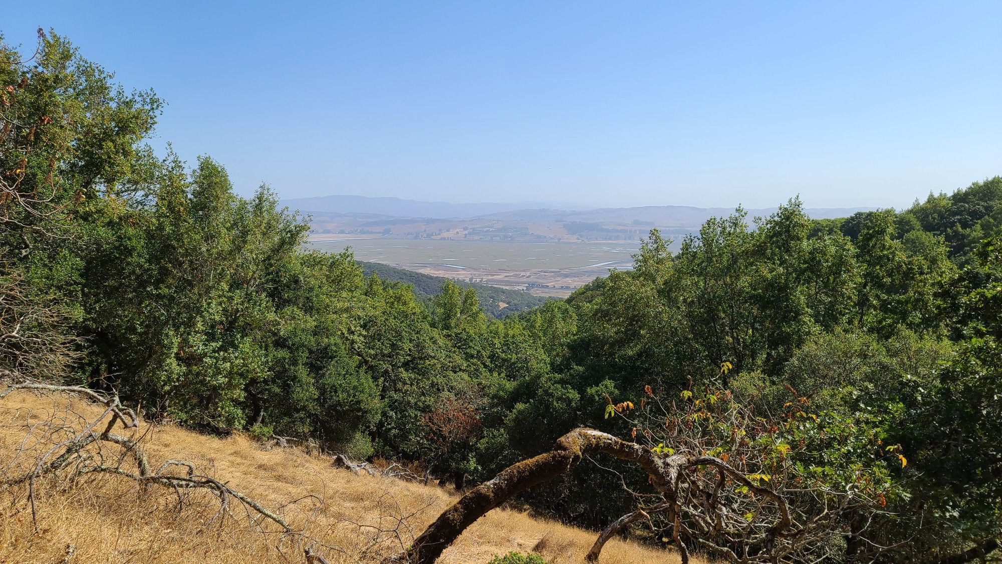 Sunny view of a distant valley through green trees and dry hills. - Miwok to Upper Mount Burdell Trail