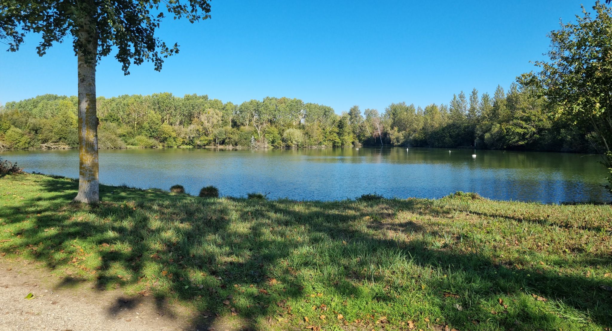 Calme et beauté au bord de l'étang / Peace and beauty by the pond