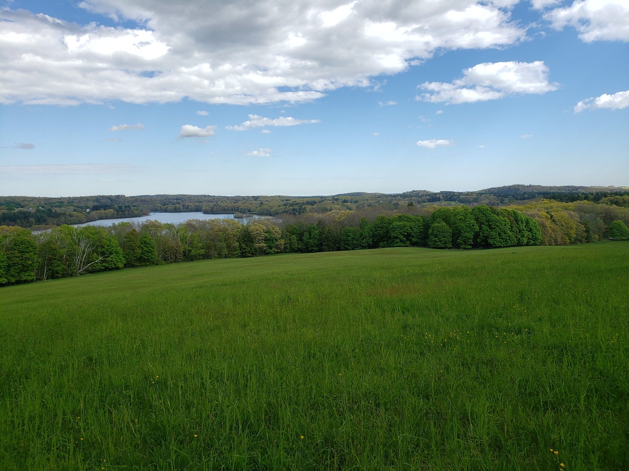 Vast green field overlooking a distant lake and forested hills under cloudy sky. - Osgood Hill Loop