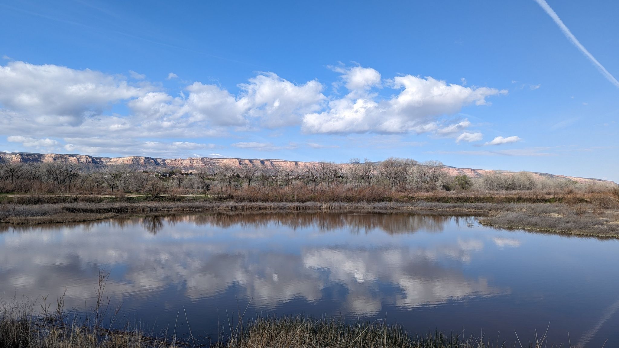 Calm water reflects a bright sky and distant mesa with bare trees. - Colorado Riverfront Trail: Grand Junction to Fruita Loop