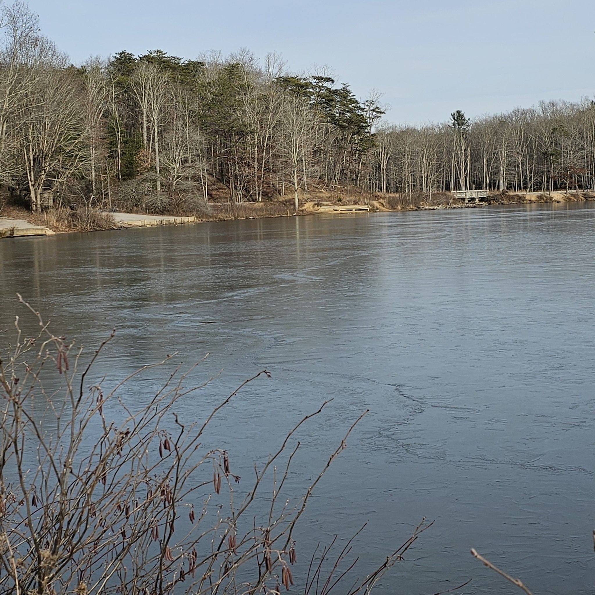 Icy lake with bare trees and a distant bridge on a clear day. - May Apple Trail – Pandapas Pond loop from Pandapas Pond Dam