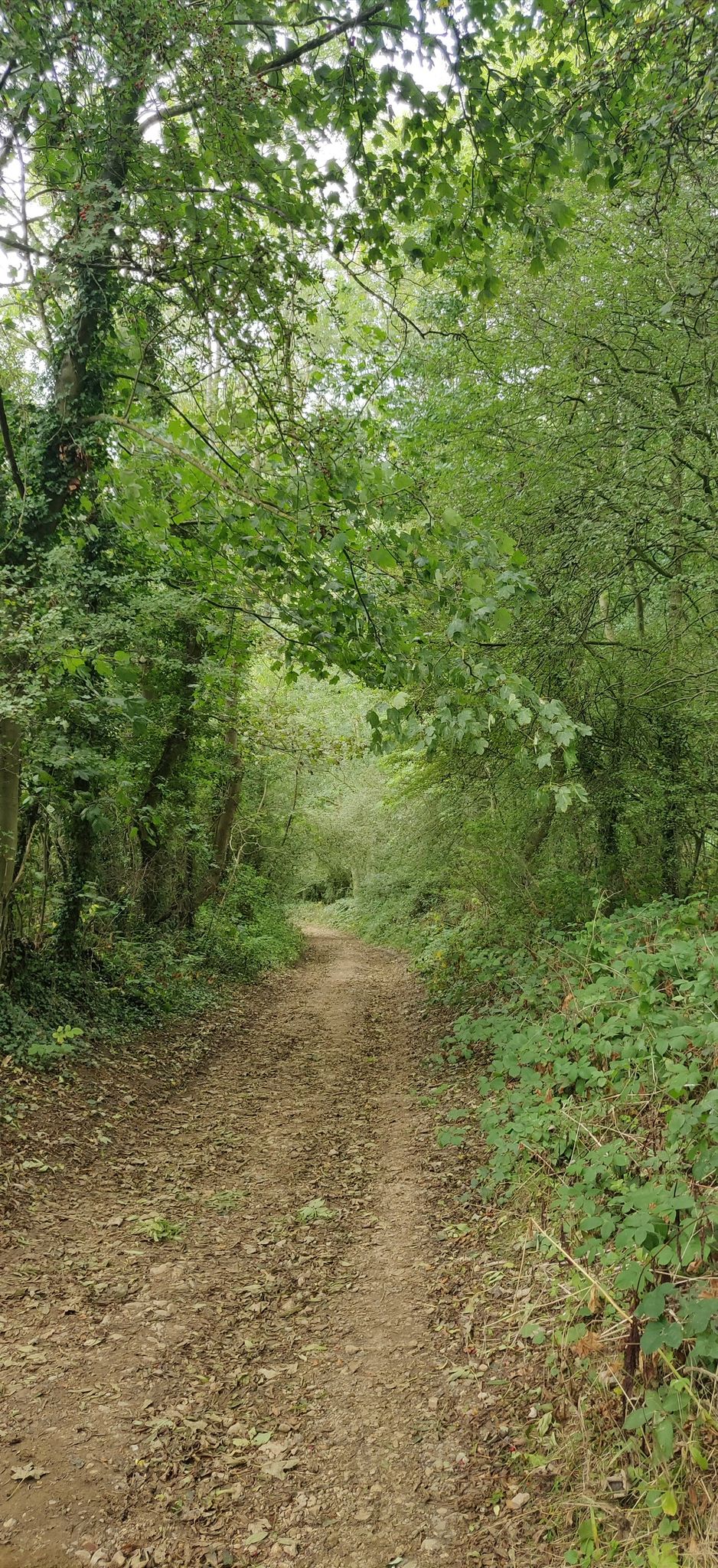 Toft Hill. A proper gravelly hill!