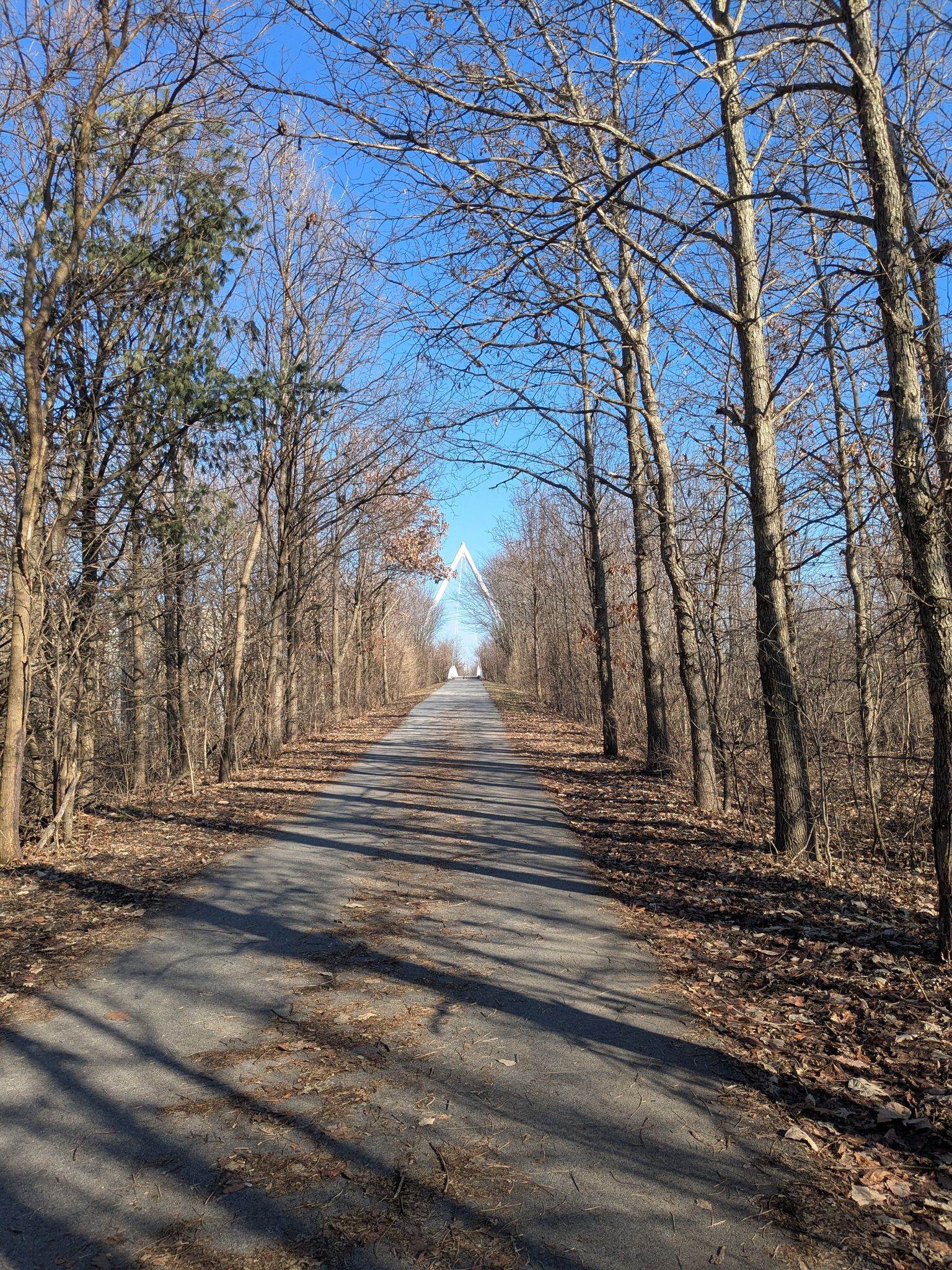 A straight paved path through bare winter trees under a clear blue sky. - Old Plank Road Trail